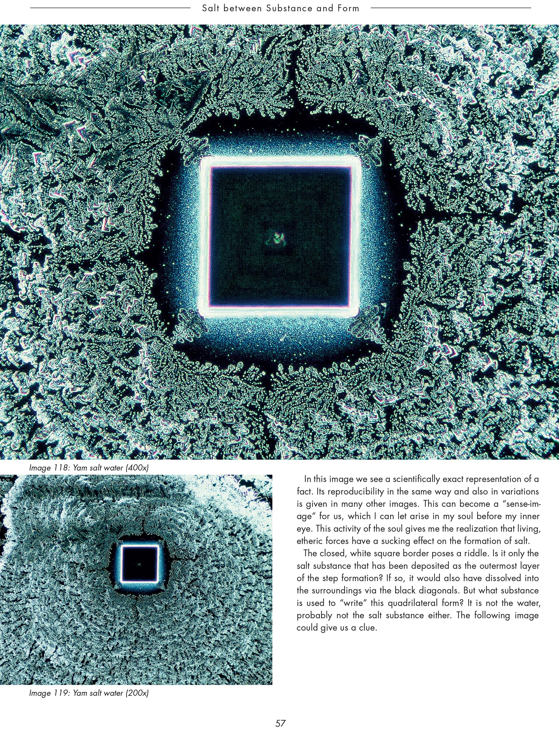 The Silent Language of Life: Research into Formative Forces in Water Drops