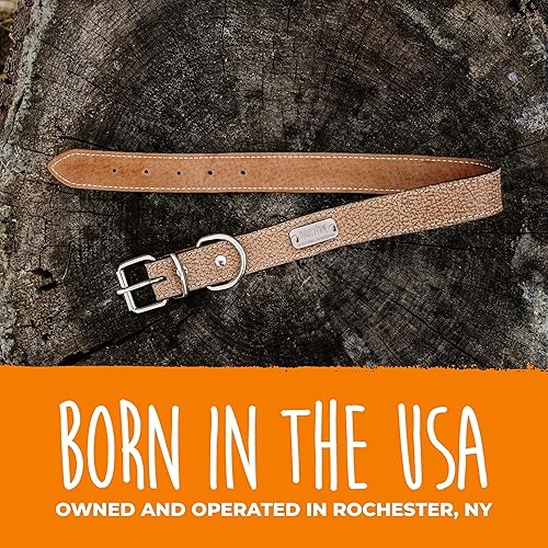 Miniatura 9 de Mighty Paw Collar de cuero para perro  Cuero auténtico envejecido y una hebilla de metal fuerte. Súper suave para máxima comodidad. Aspecto de