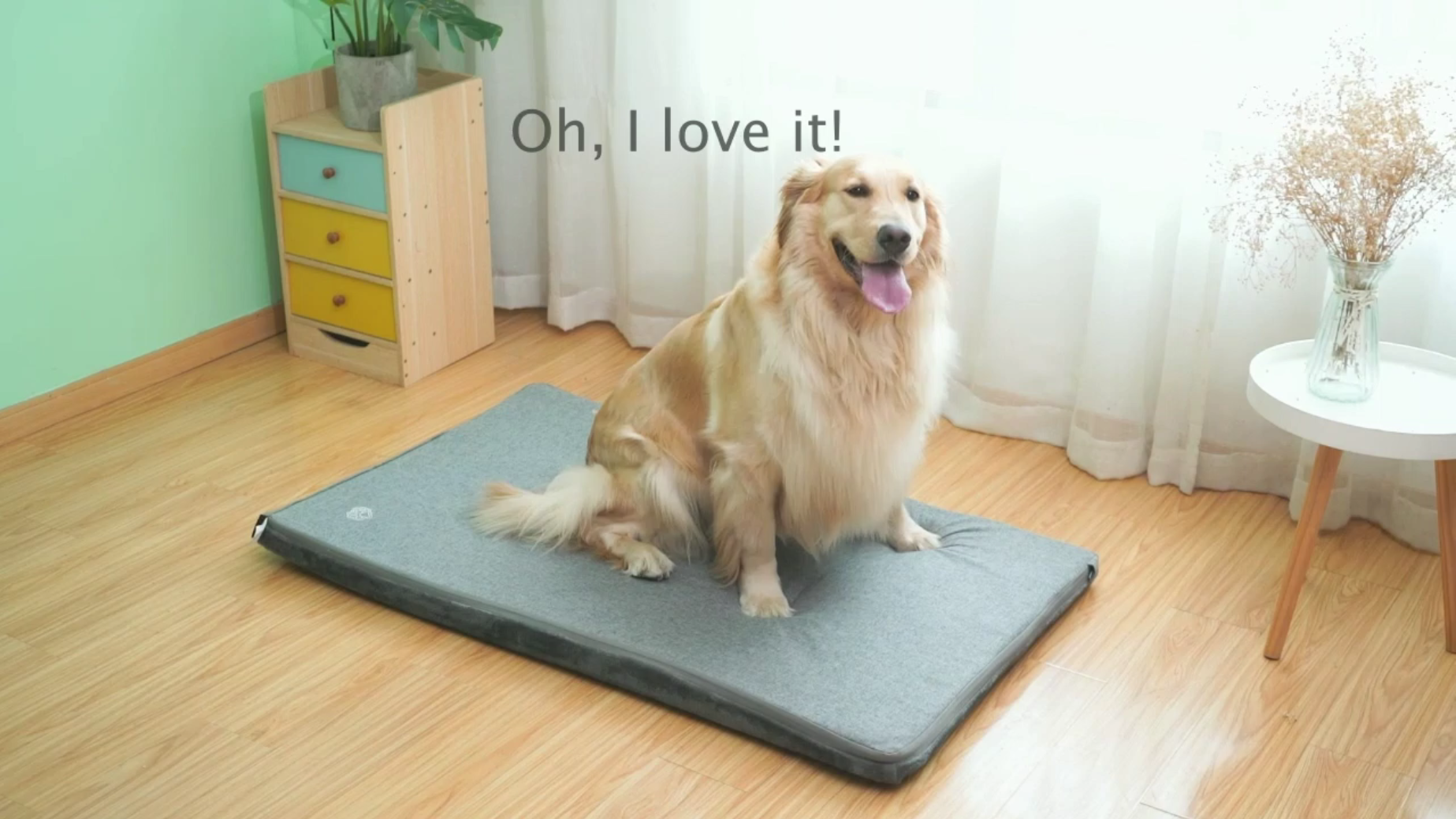 EMPSIGN Stylish Dog Bed Mat Dog Crate Pad Mattress Reversible (Cool & Warm), Water Proof Linings, Removable Machine… - Image 8