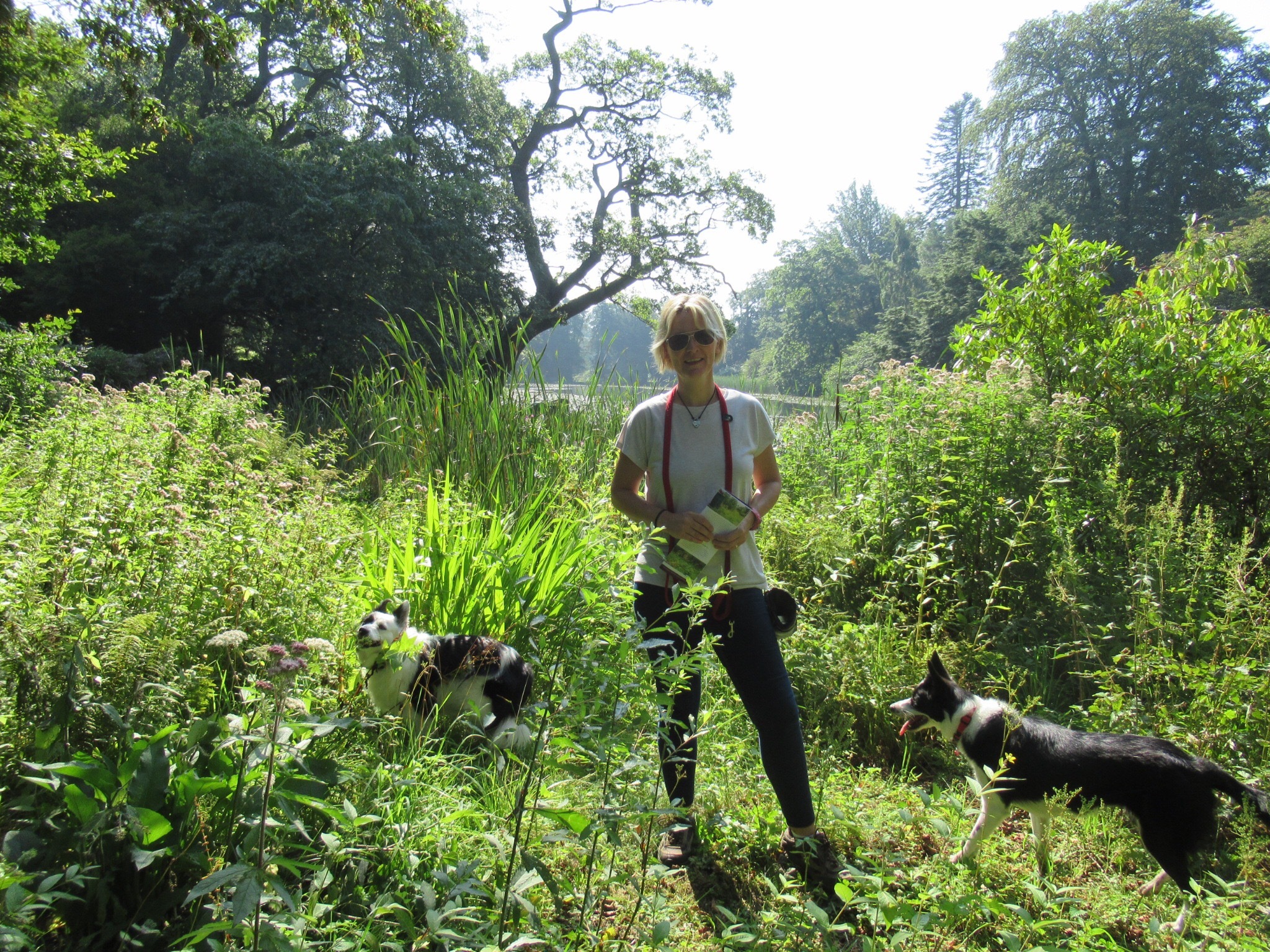 Amazon.de Jane Hiles Bücher, Biographie, neuestes Aktualisierung