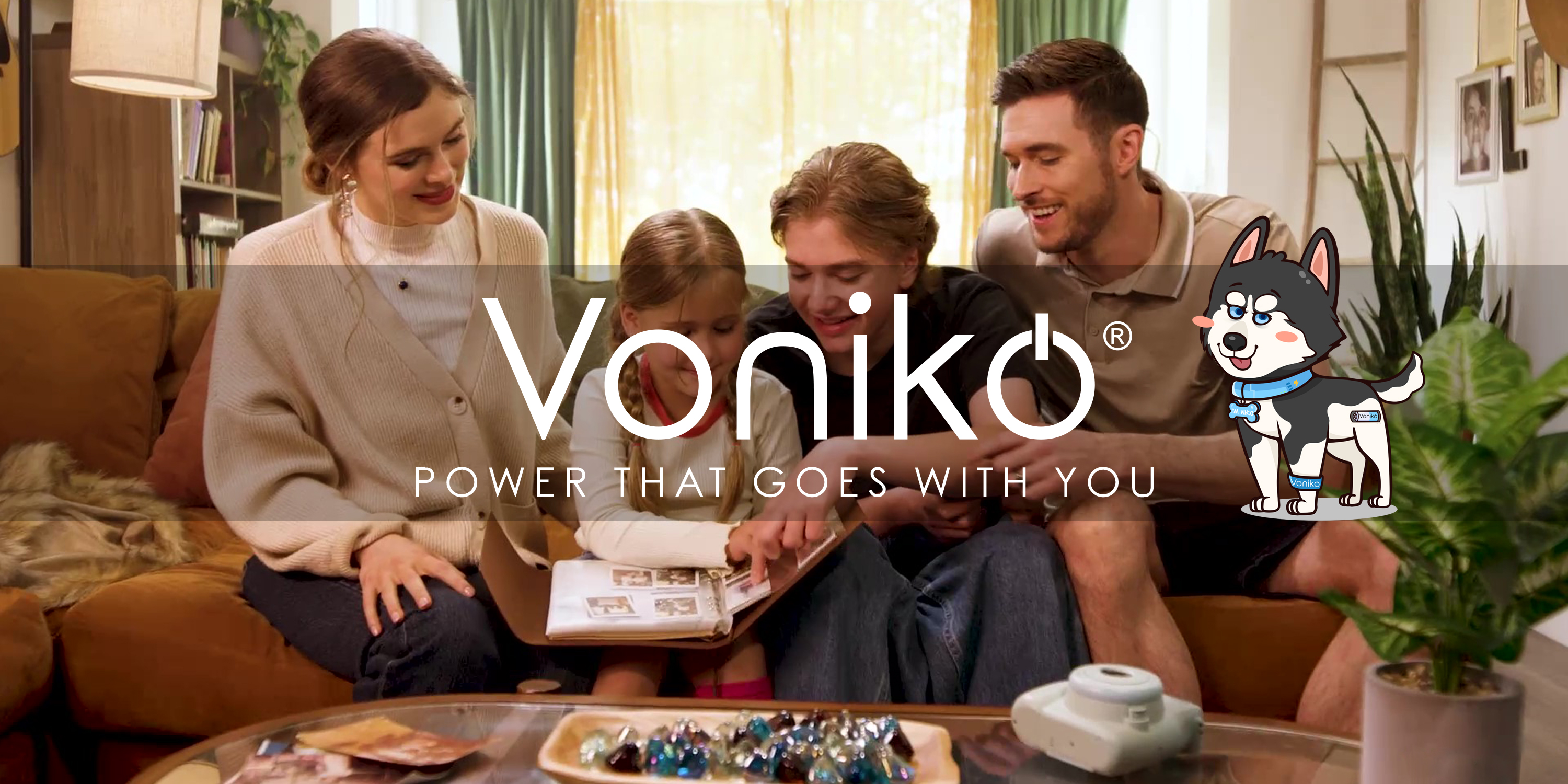 Amazon.com: Voniko - Premium Grade AA Batteries - (12 Pack