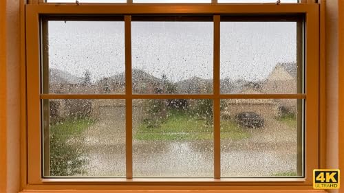 Janela da Tempestade Tropical com Chuva & Trovão - relaxamento, meditação, natureza