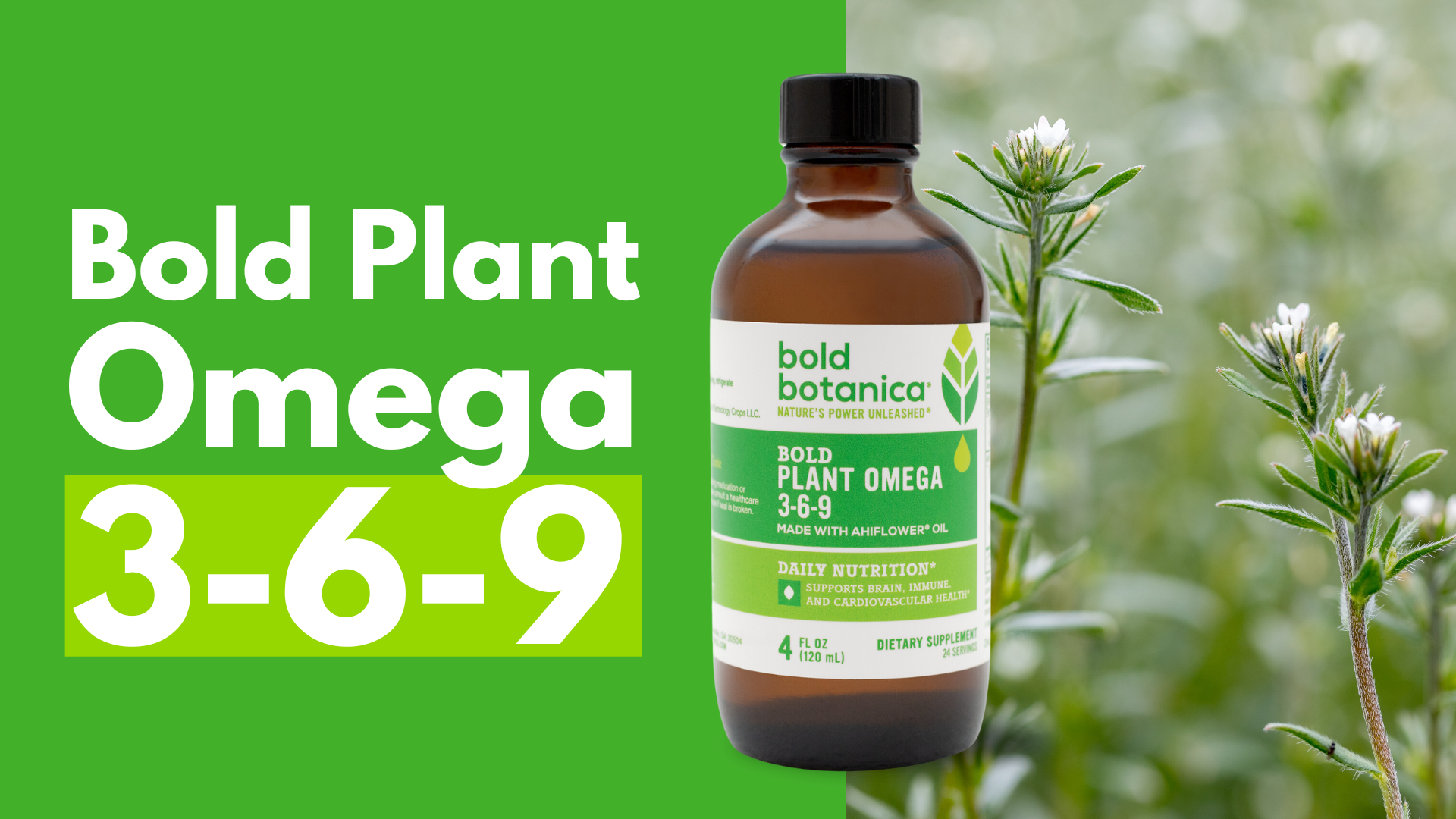 【ALO】ONDINE ORBLANC BOTANICAL BALANCE 9 Amazon.com: Bold Botanica Plant Omega 3-6-9, with Ahiflower Oil