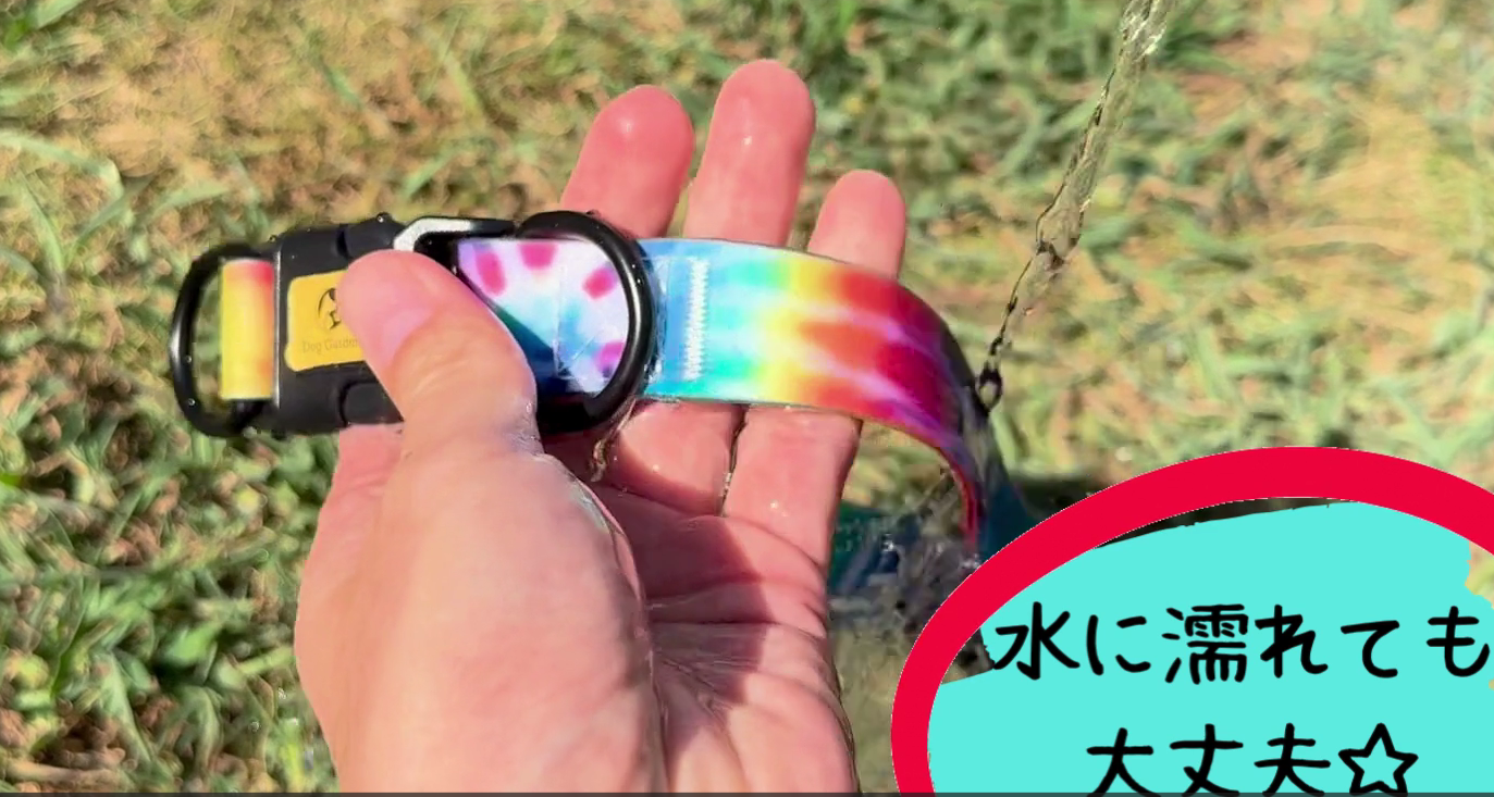 Amazon | DogGarden 防水首輪【M】＆リードセット 首周り25~42cm太さ