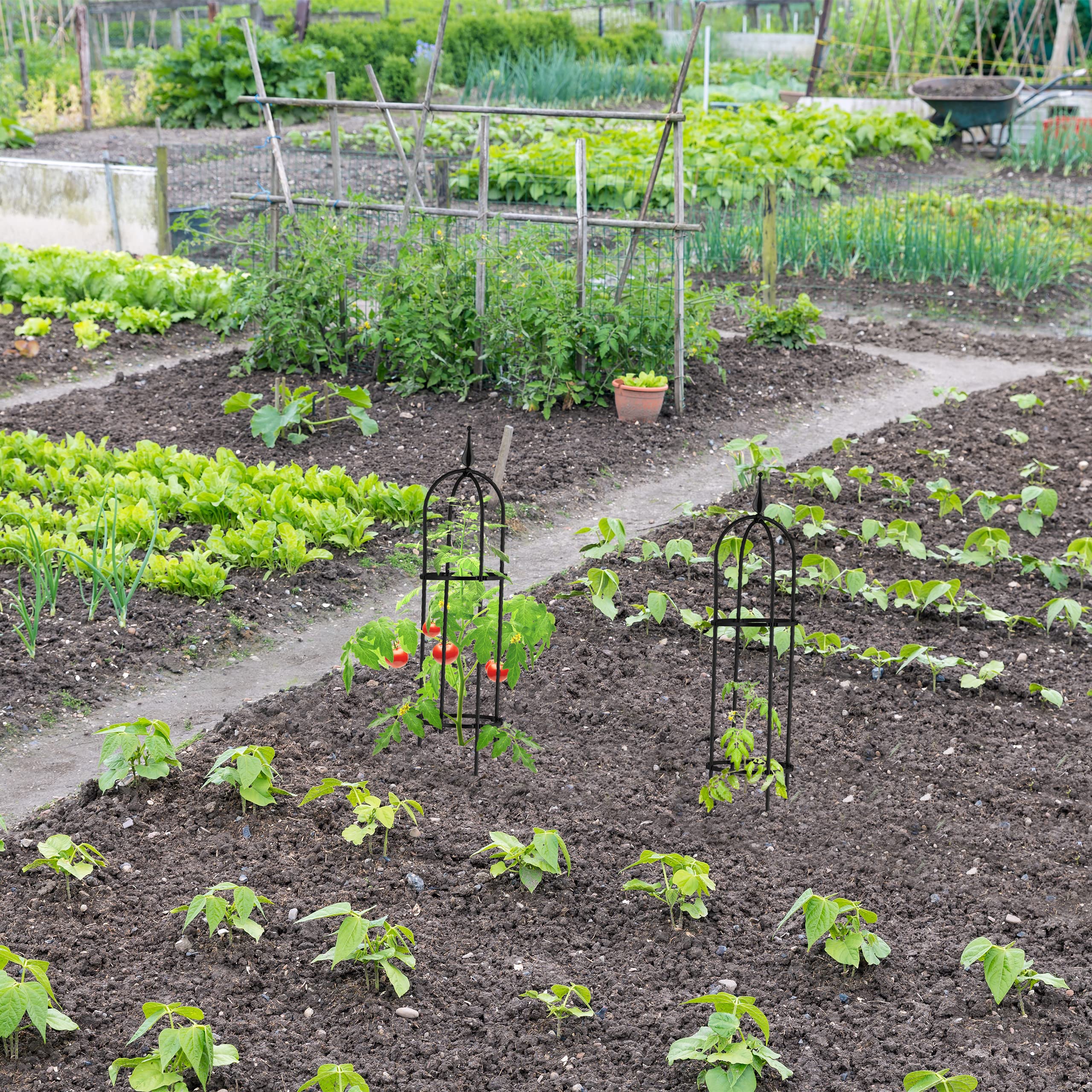 Relaxdays Set da 2 Obelischi per Rampicanti Alti 85 cm, Sostegno per Piante, Rose, Edere, da Giardino, Metallo, Nero