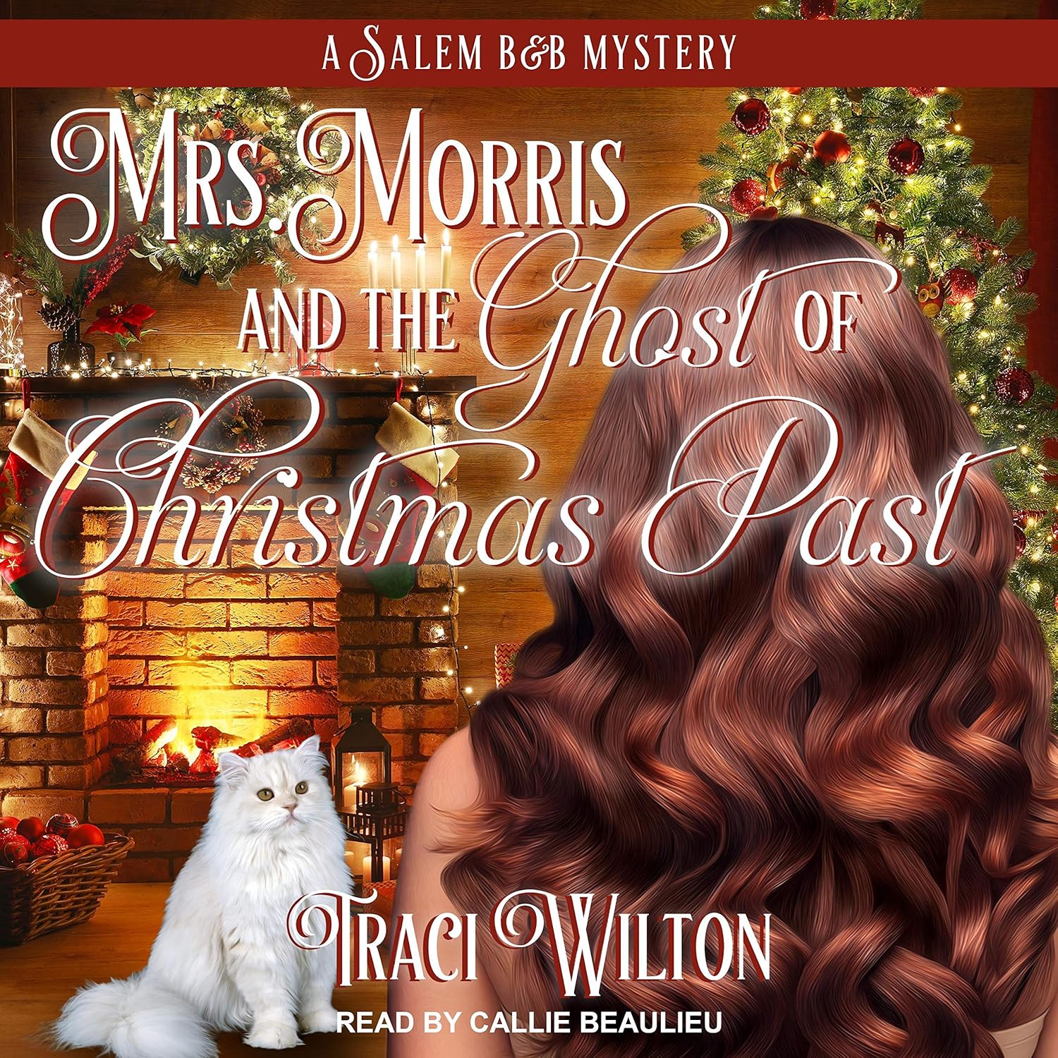 Mrs. Morris and the Ghost of Christmas Past: A Mrs. Morris Mystery, Book 3    
	                
	            

                 
                        Audible Audiobook 
                  
                        – Unabridged