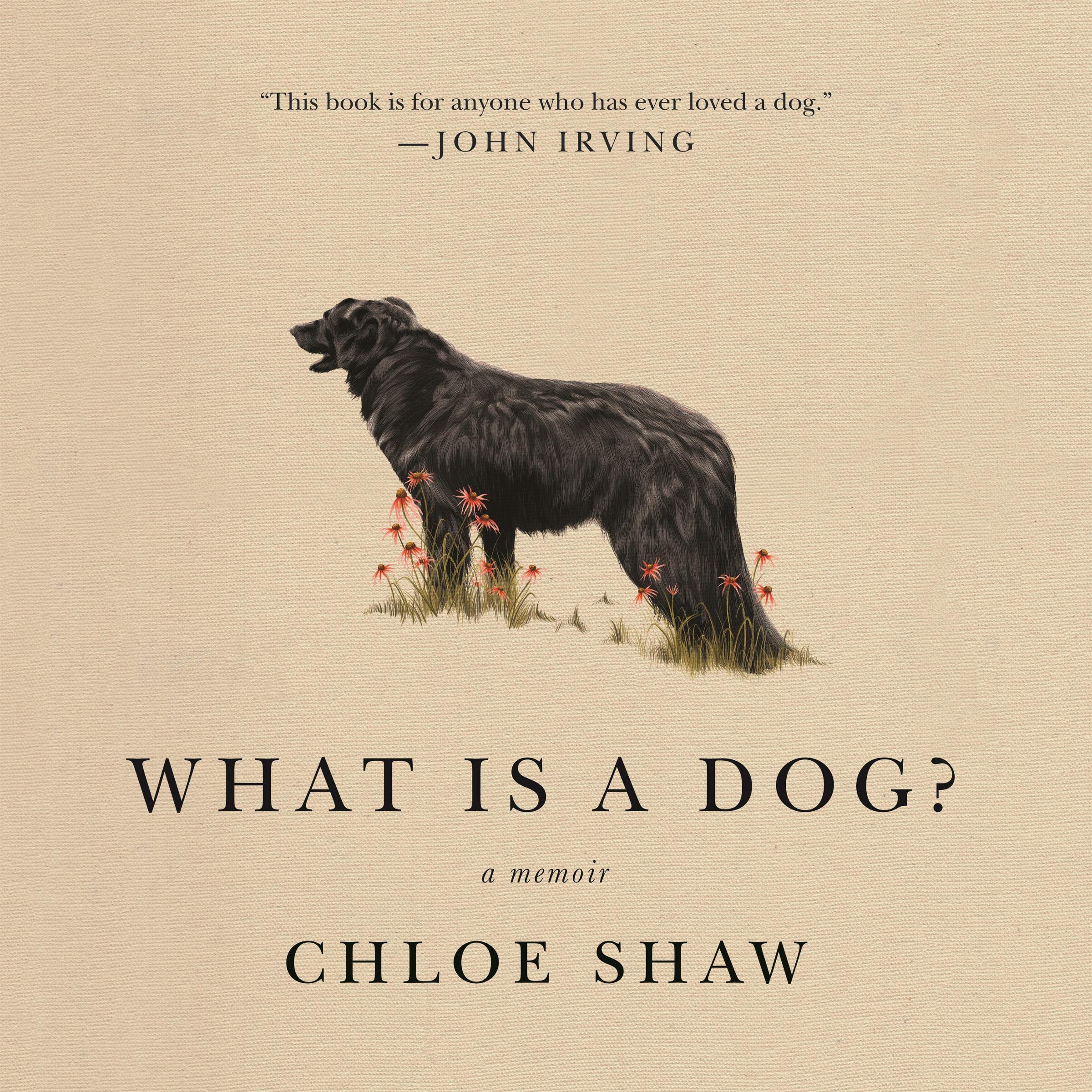 Cover art for What Is a Dog?
