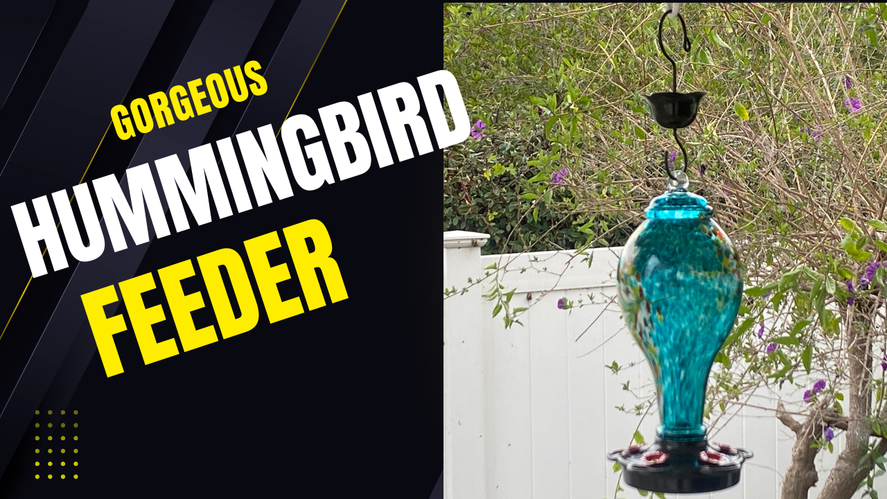 Watch Gorgeous and Enjoyable Lujii Hummingbird Feeder on Amazon Live