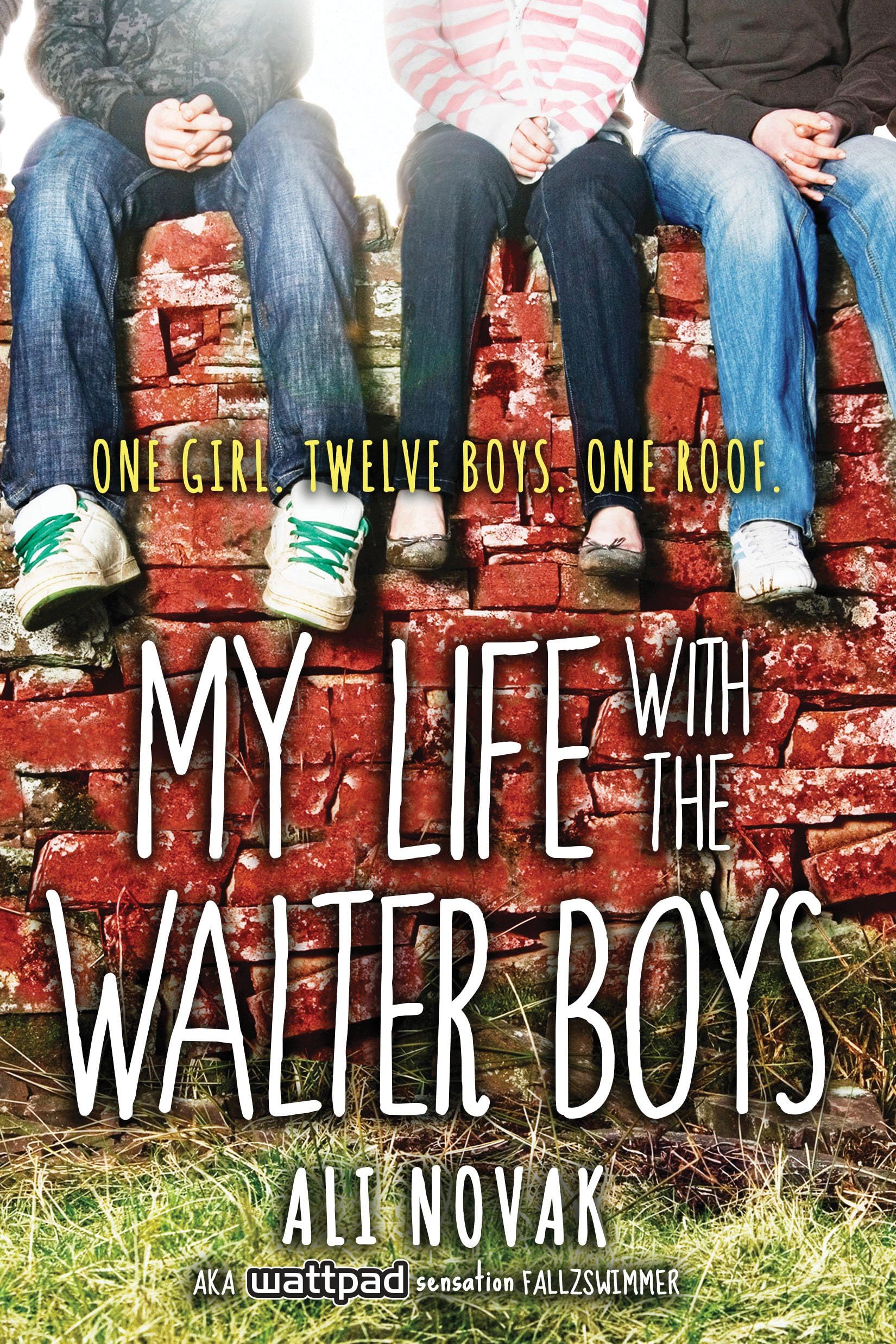 My Life With the Walter Boys Paperback – January 1, 2014