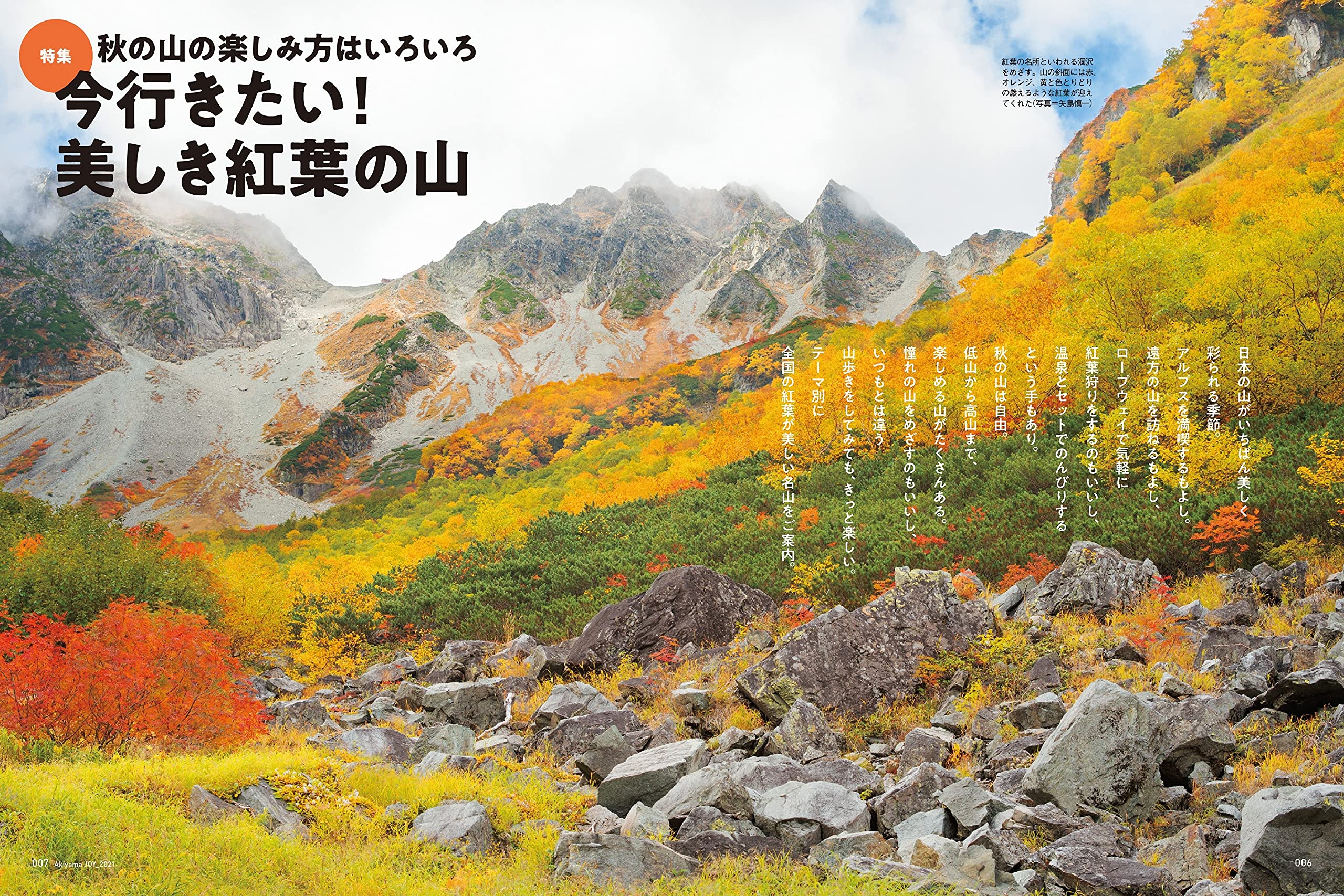 秋山joy21 山の楽しみ方はいろいろ 今行きたい 美しき紅葉の山 山と溪谷社 配送料無料