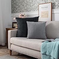 Vista 630 de UGASA - Juego de 2 fundas de almohada de terciopelo a rayas, funda decorativa para cojín con cremallera oculta para el hogar, sofá, dormitorio