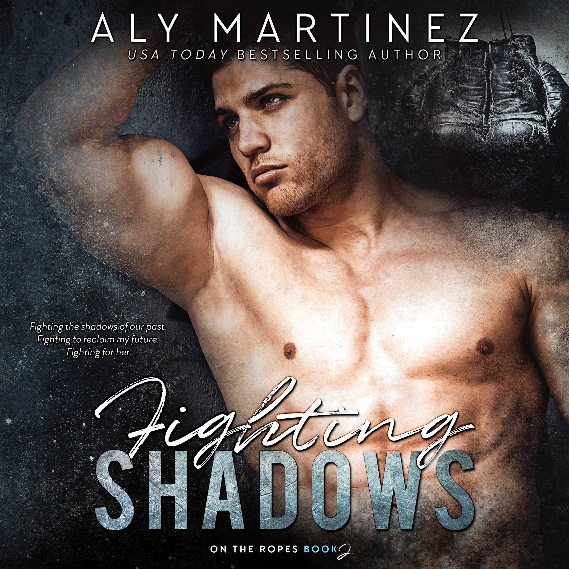 Cover art for Fighting Shadows