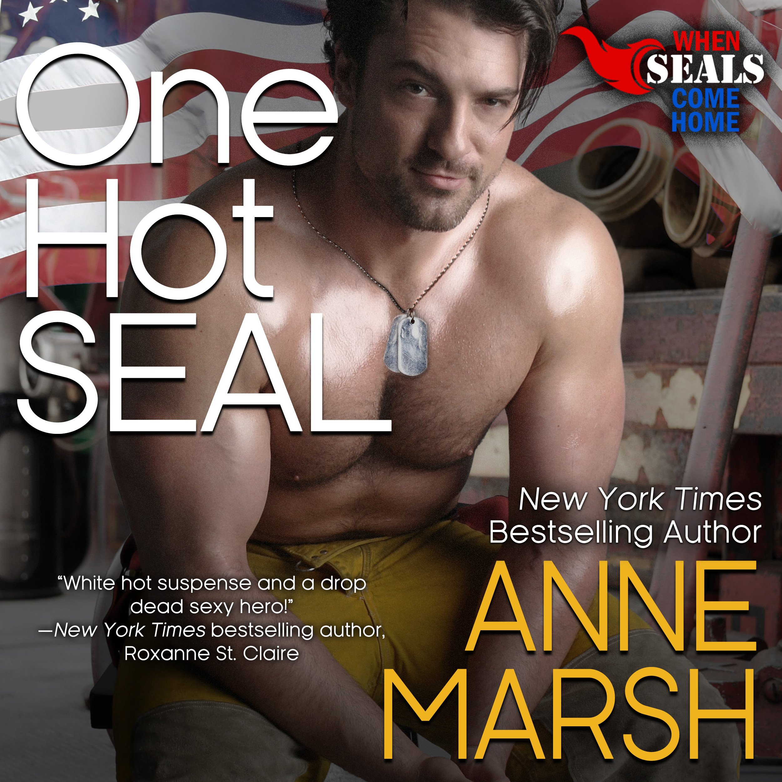 Cover art for One Hot SEAL