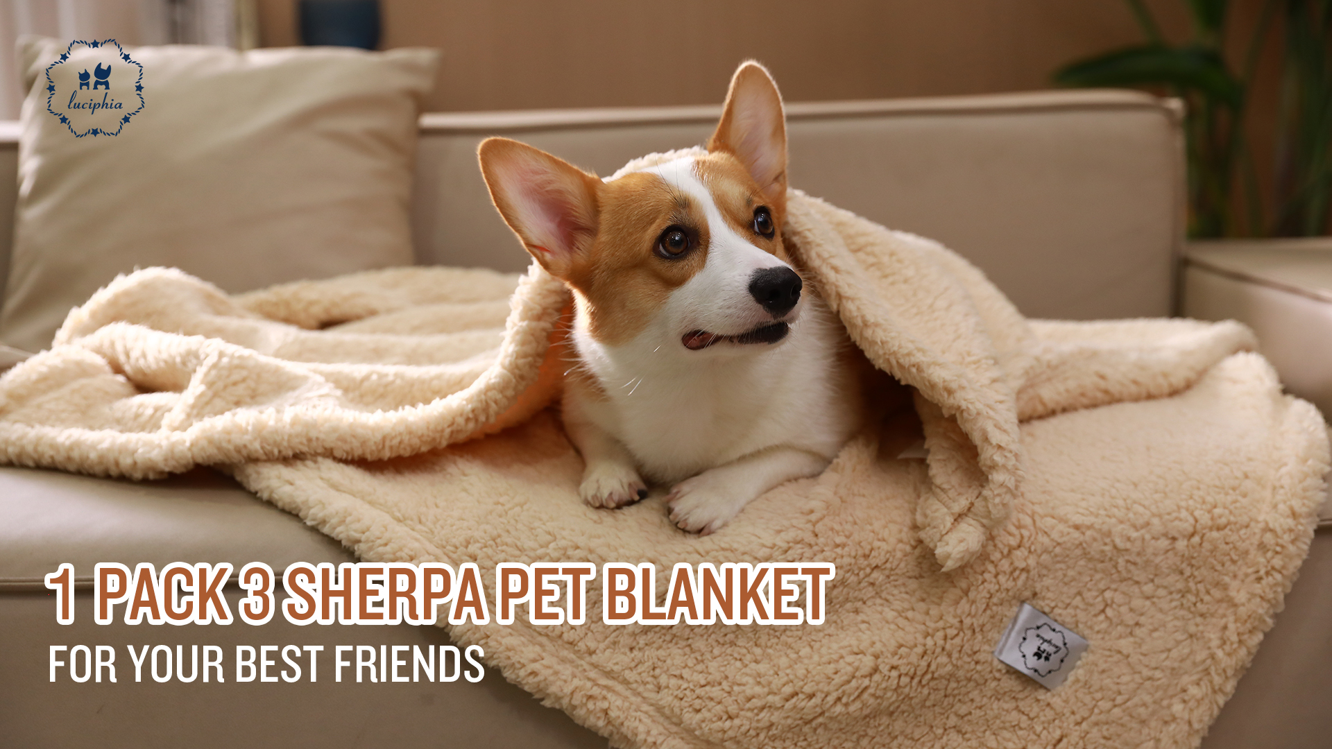 1 Pack 3 Calming Blankets Fluffy Premium Fleece Pet Blanket Soft Sherpa Throw for Dog Puppy Cat Beige Small (23x16'') - Image 8