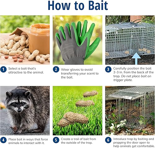 Miniatura 5 de Havahart Large 2 Door Humane Catch and Release Live Animal Trap for Armadillos, Beavers, Bobcats, Small Dogs, Cats, Foxes, Groundhogs, Nutria,