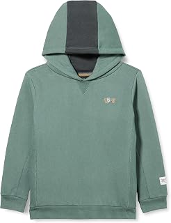 Noppies Kids Boy's Windsor Long-Sleeved Sweater, Dark Forest-N108, 9 Years