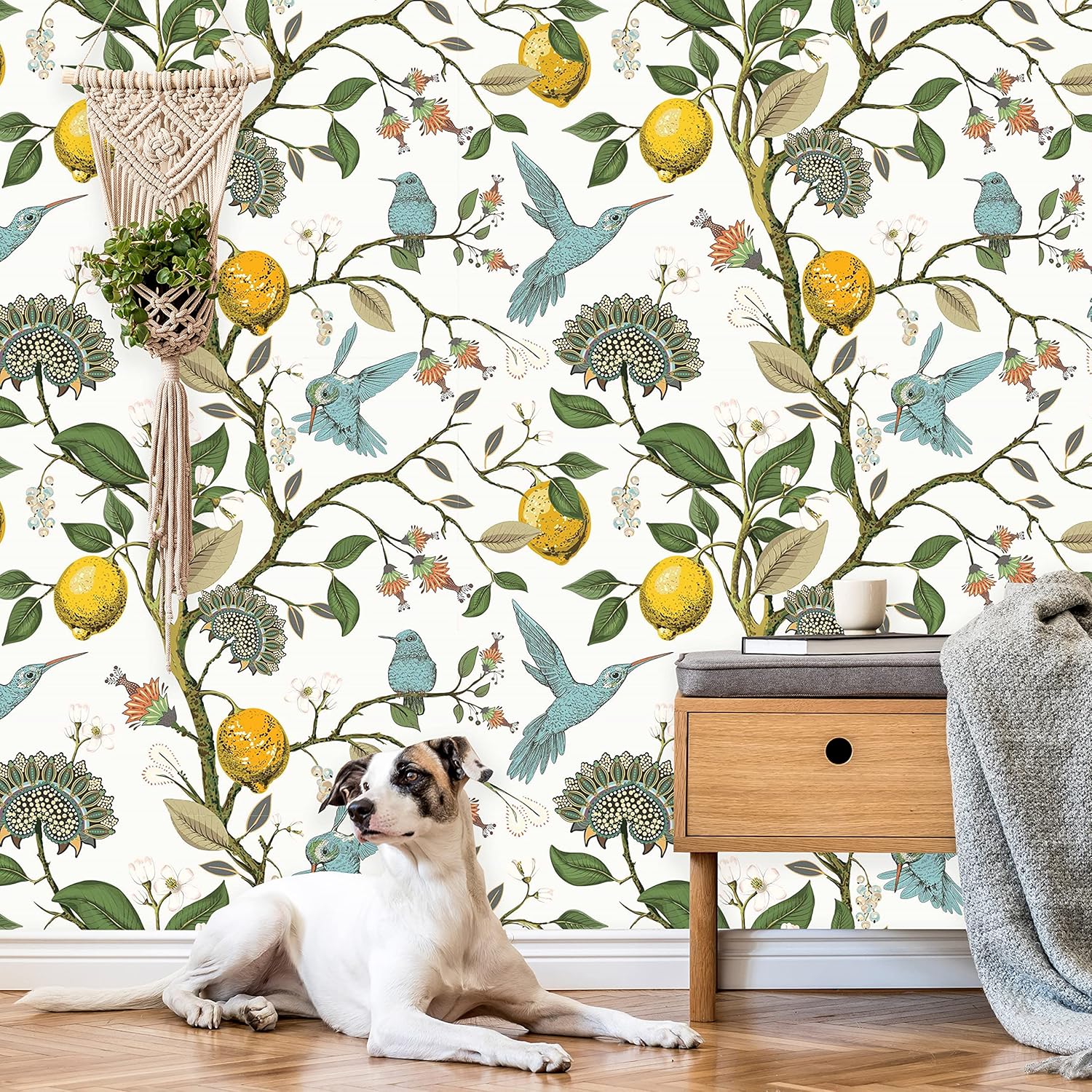 Vintage Lemons Peel and Stick Wallpaper | Removable Tropical Hummingbird Mural | Floral Self Adhesive Wallpaper (Sample 24" W x 12" H)
