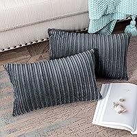 Vista 238 de UGASA - Juego de 2 fundas de almohada de terciopelo a rayas, funda decorativa para cojín con cremallera oculta para el hogar, sofá, dormitorio