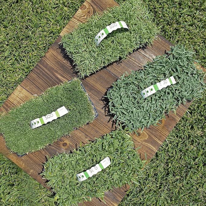 SodPods Multi Variety Grass Plug Pack (32Count) Natural