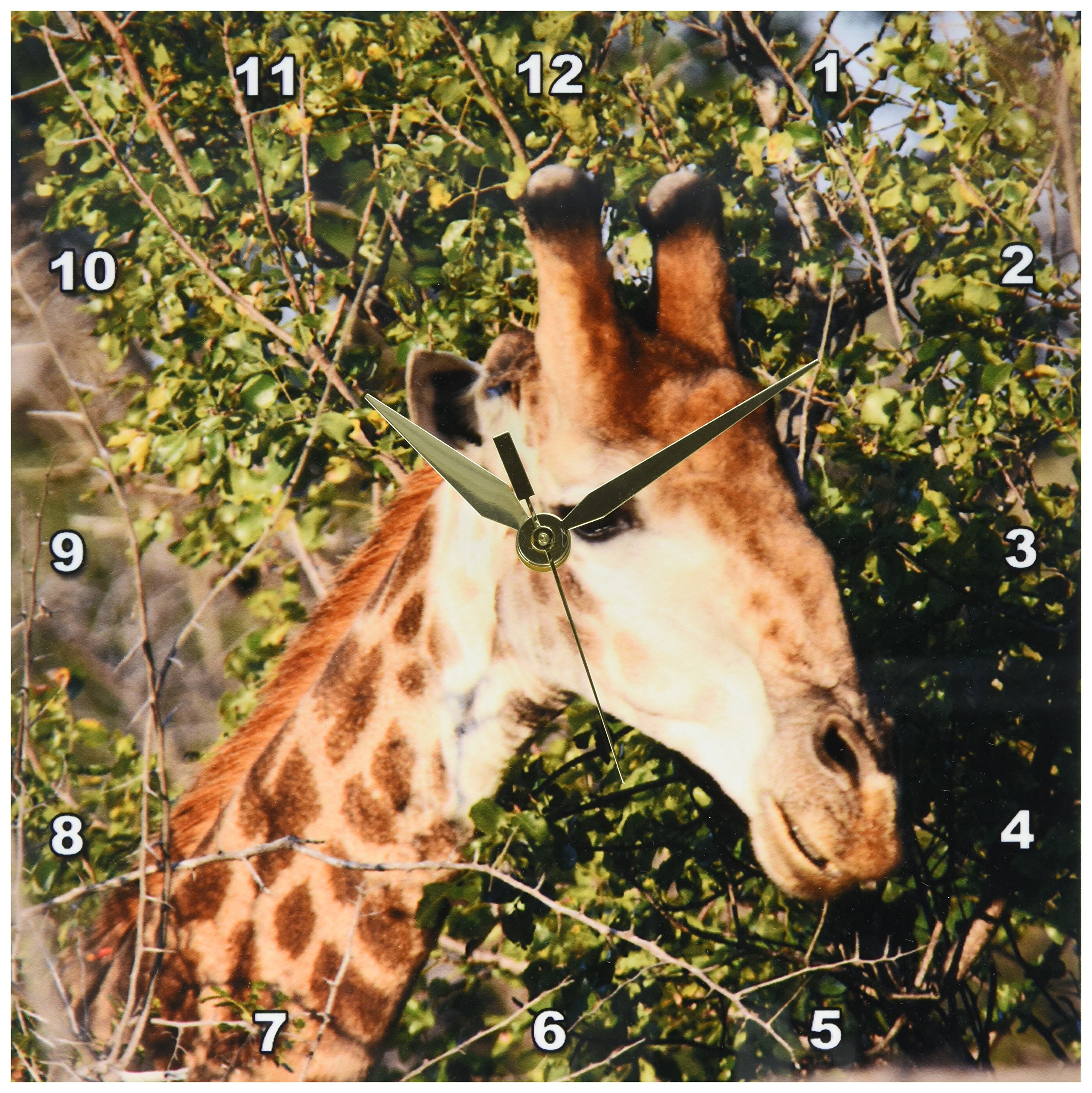 3dRose DPP_20122_1 South African Giraffe Headface Wall Clock, 10 by 10-Inch