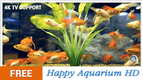 aquário feliz grátis HD - decore seu quarto com um lindo aquário de vida marinha na sua TV HDR 4K, T