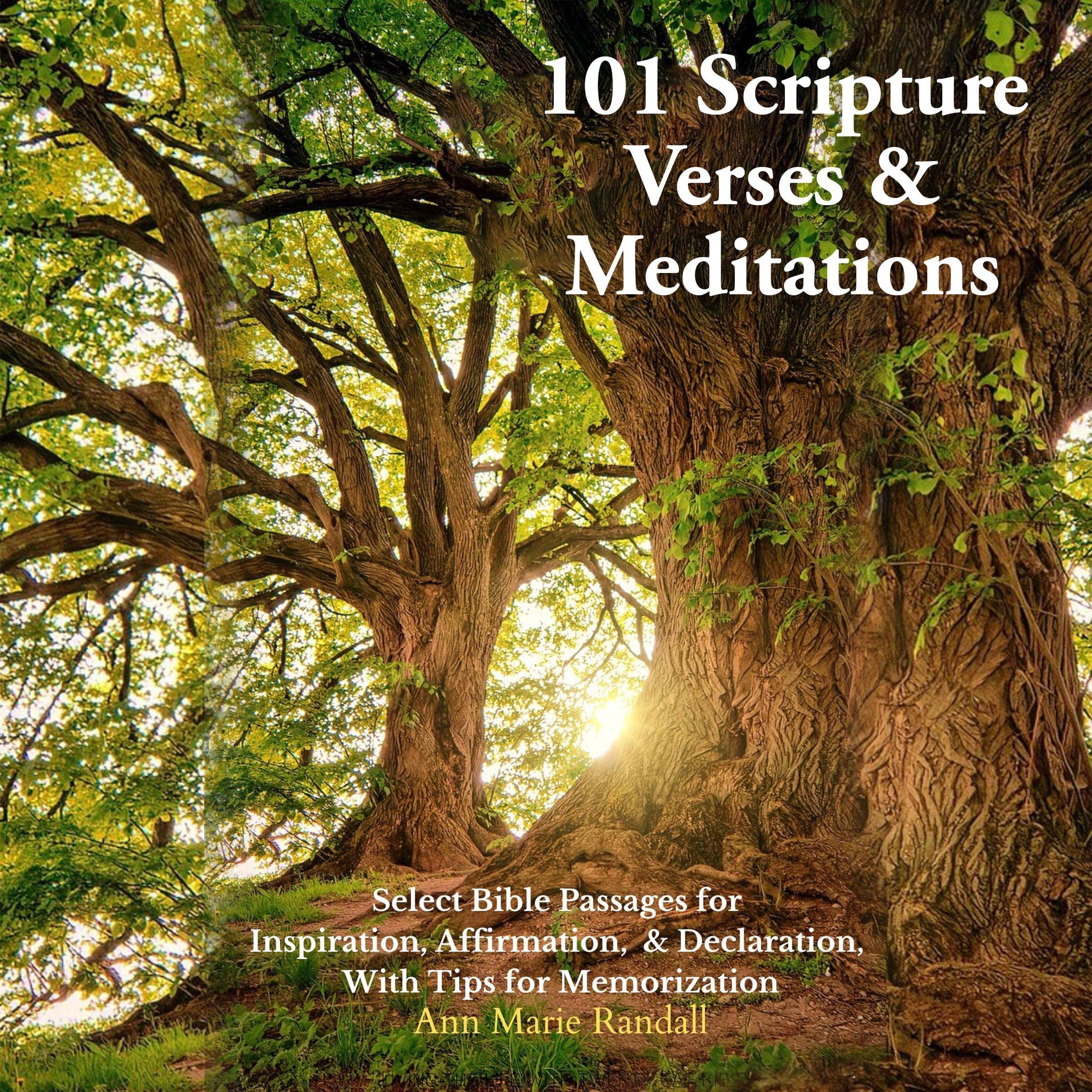 Cover art for 101 Scripture Verses & Meditations