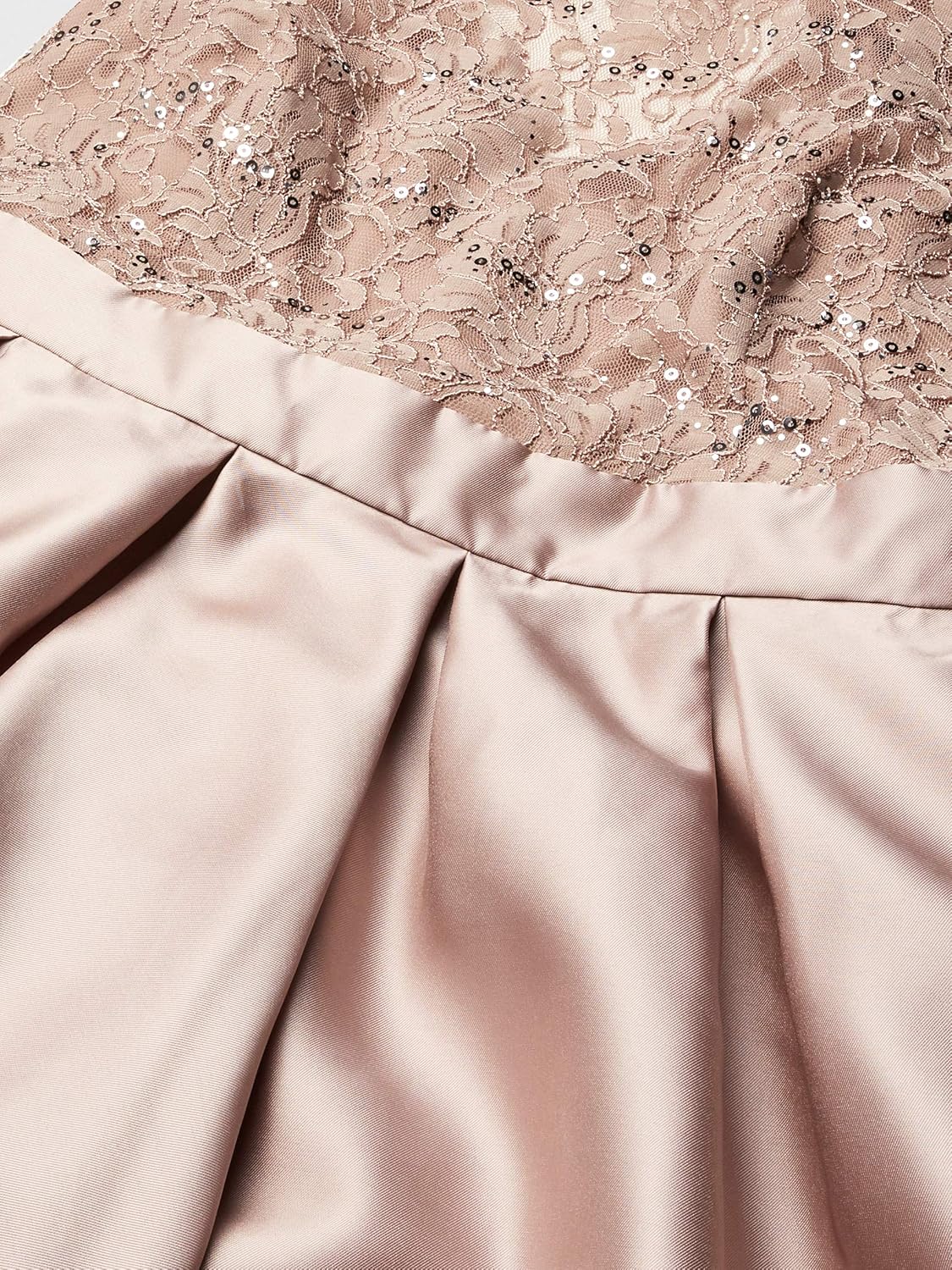 Women's Plus Size Sequined Lace Gown Dress