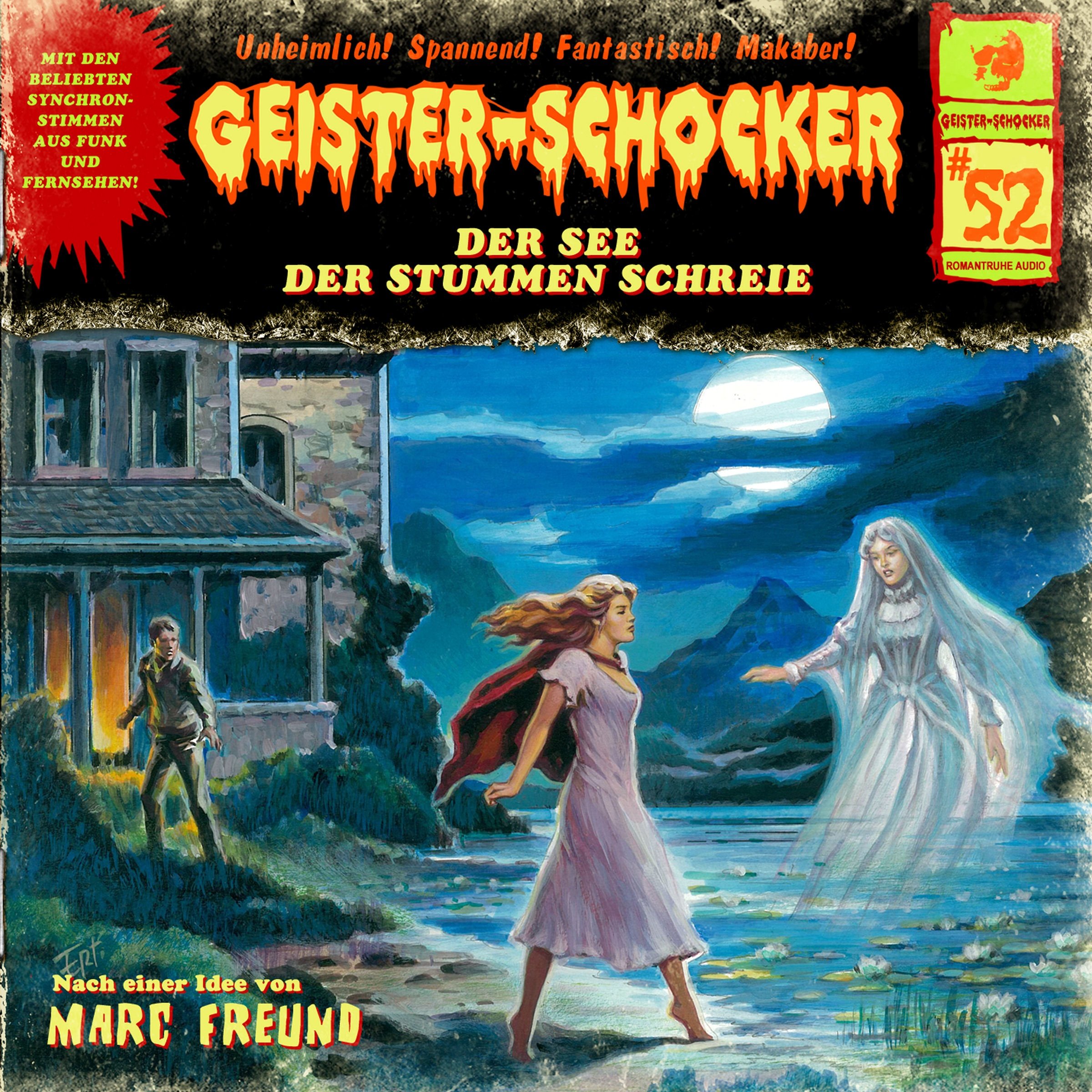 Cover art for Der See der stummen Schreie