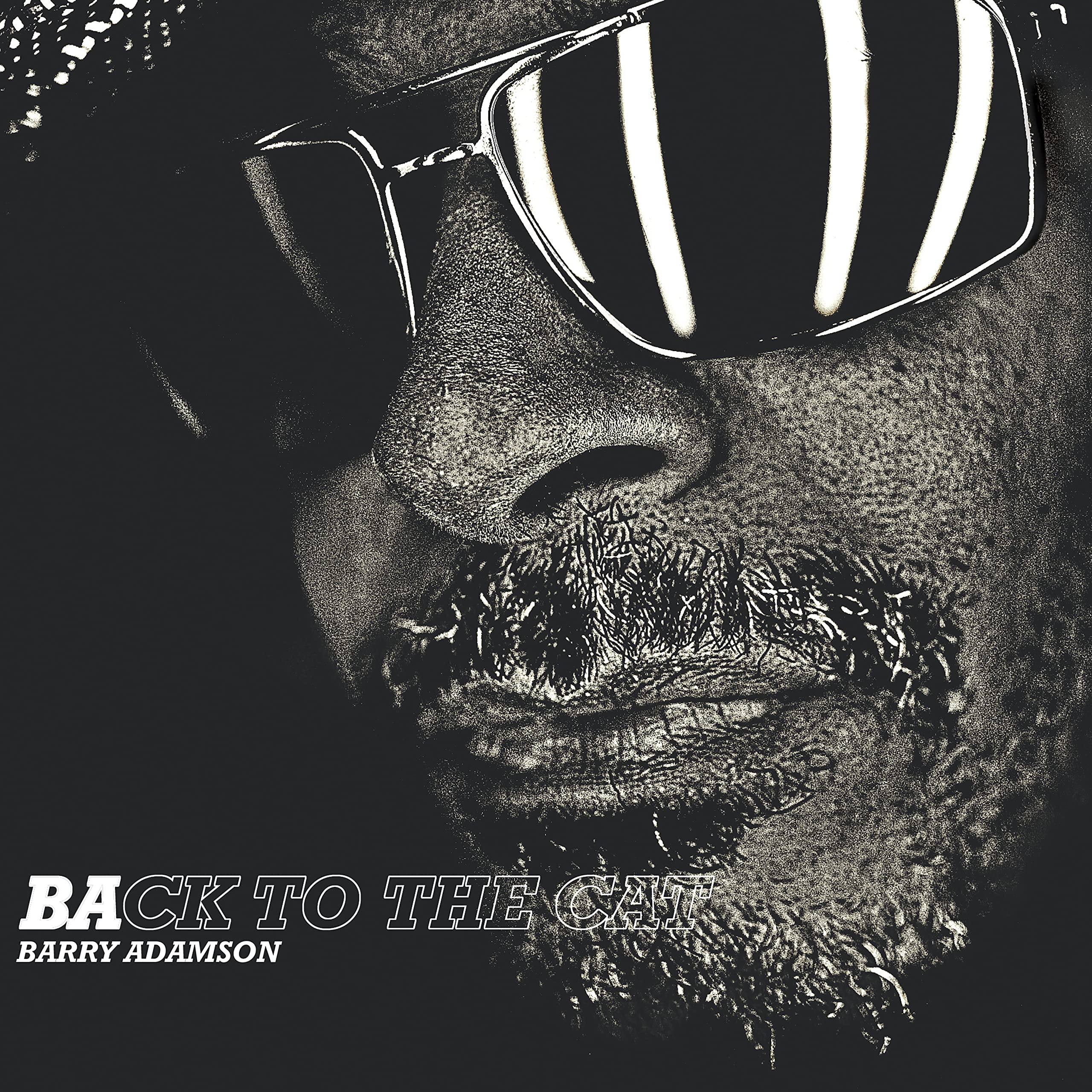 BARRY ADAMSON BACK TO THE CAT LIMITED EDITION CLEAR VINYL LP NEW & SEALED