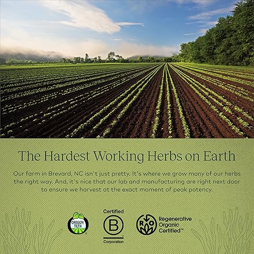 Miniatura 8 de Suplemento de hierbas para la salud suprarenal 60 unidades 60 1 1