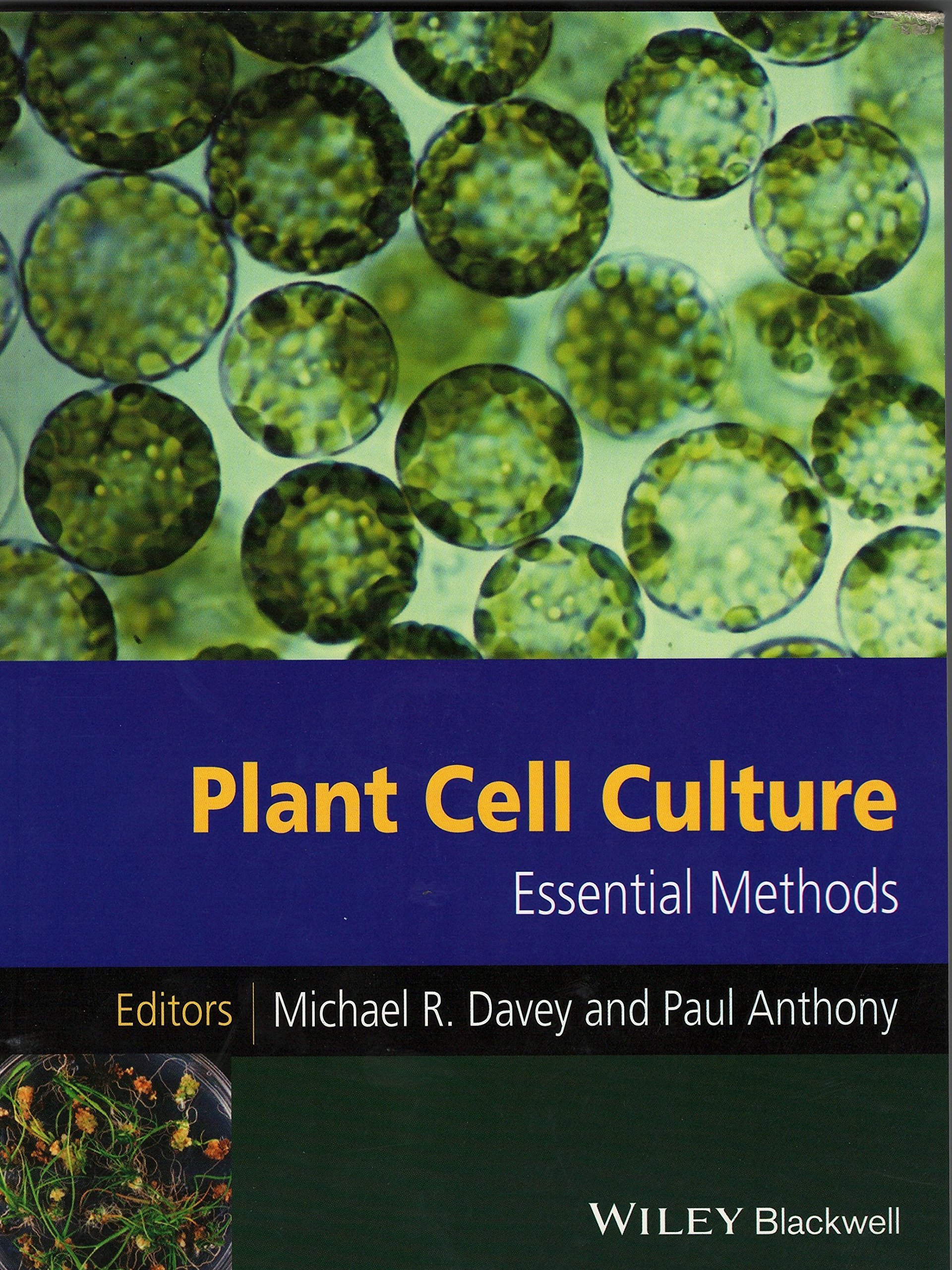 Buy Plant Cell Culture - Essential Methods — BookShops.in