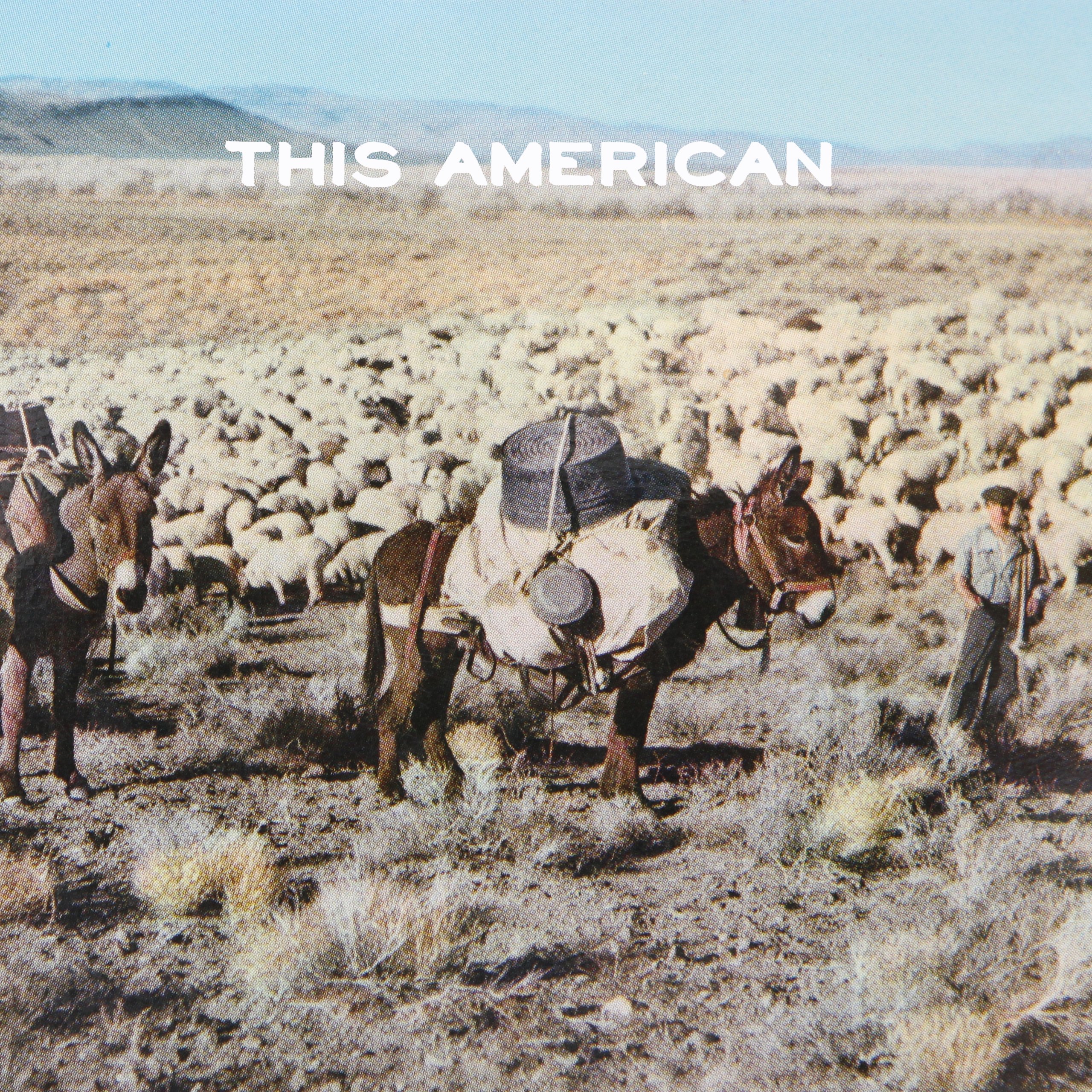 This American [Audio CD] Joe Purdy