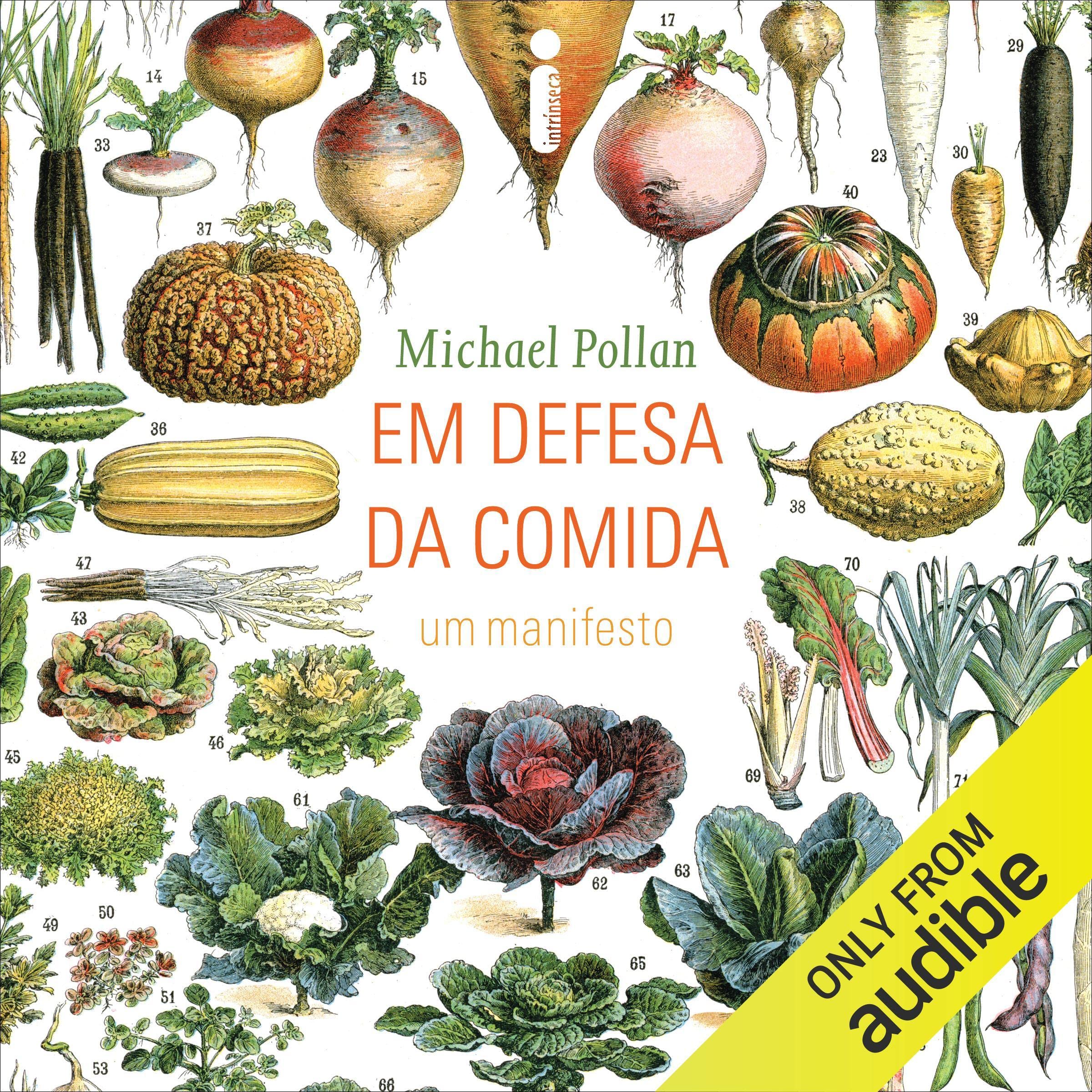 Em defesa da comida