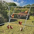 Chicken Coop Roosting Perch Essentials:Perfect for Backyard Poultry, Easy Installation &,Farm Roost Toys for Chickens (55' L x 40' W)