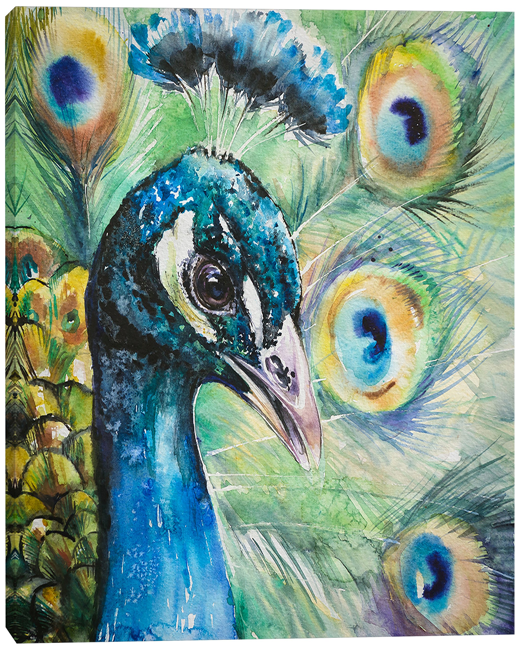 Amazon.com: Designart 大型孔雀水彩動物牆壁藝術版畫,76.2 x 101.4