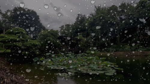 Gentle Rain, Rain Sounds for Sleeping – Dark Screen to Beat insomnia, Relax, Study