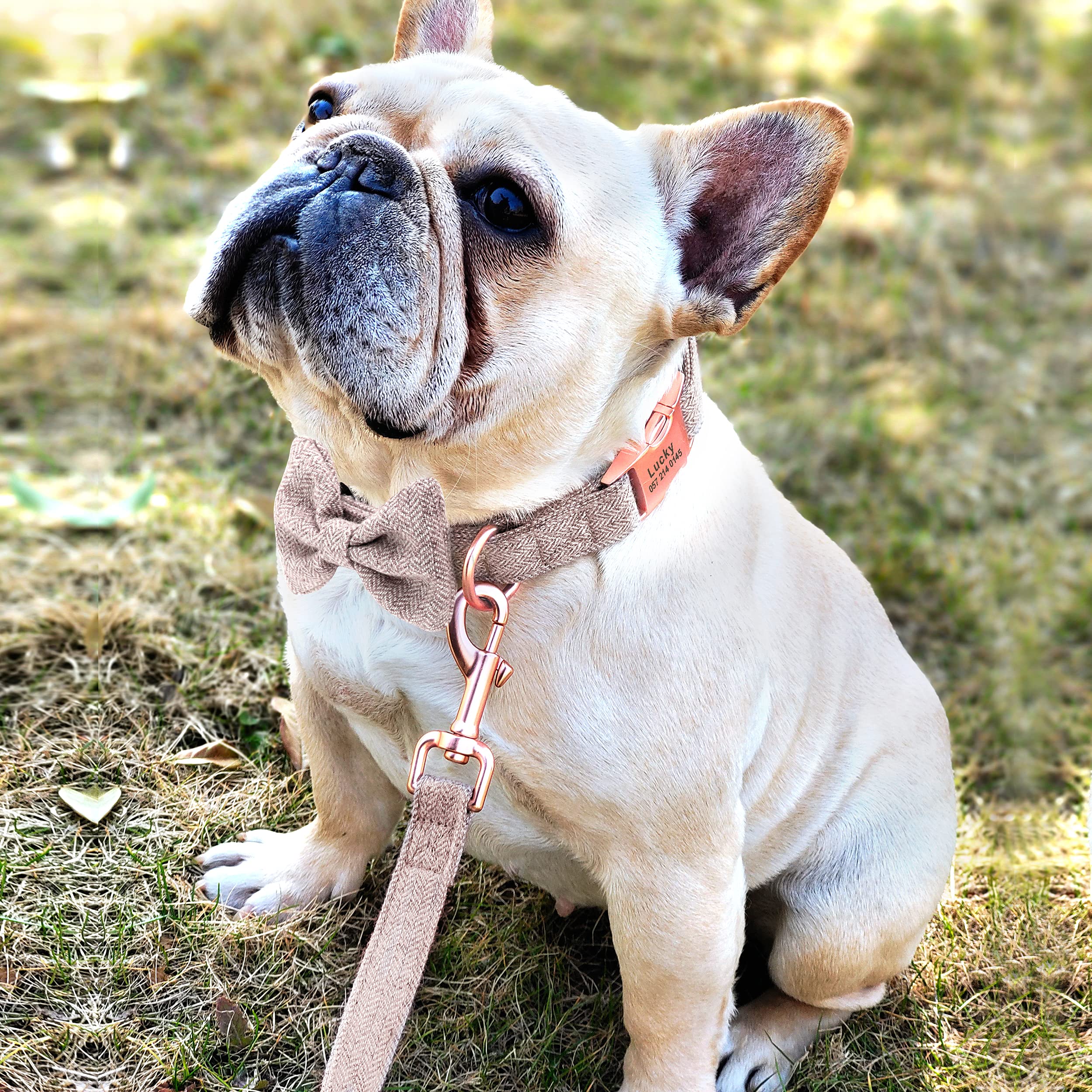 Hundehalsband & Leine Set Mit Blume & Fliege – Verstellbar, Weich Gepolstert, Für Kleine Bis Große Hunde