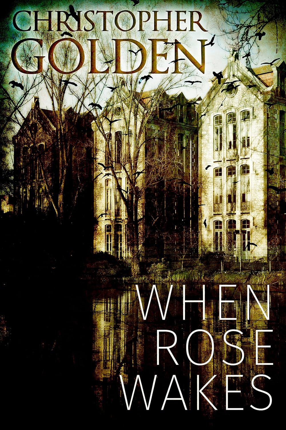 When Rose Wakes      Kindle Edition