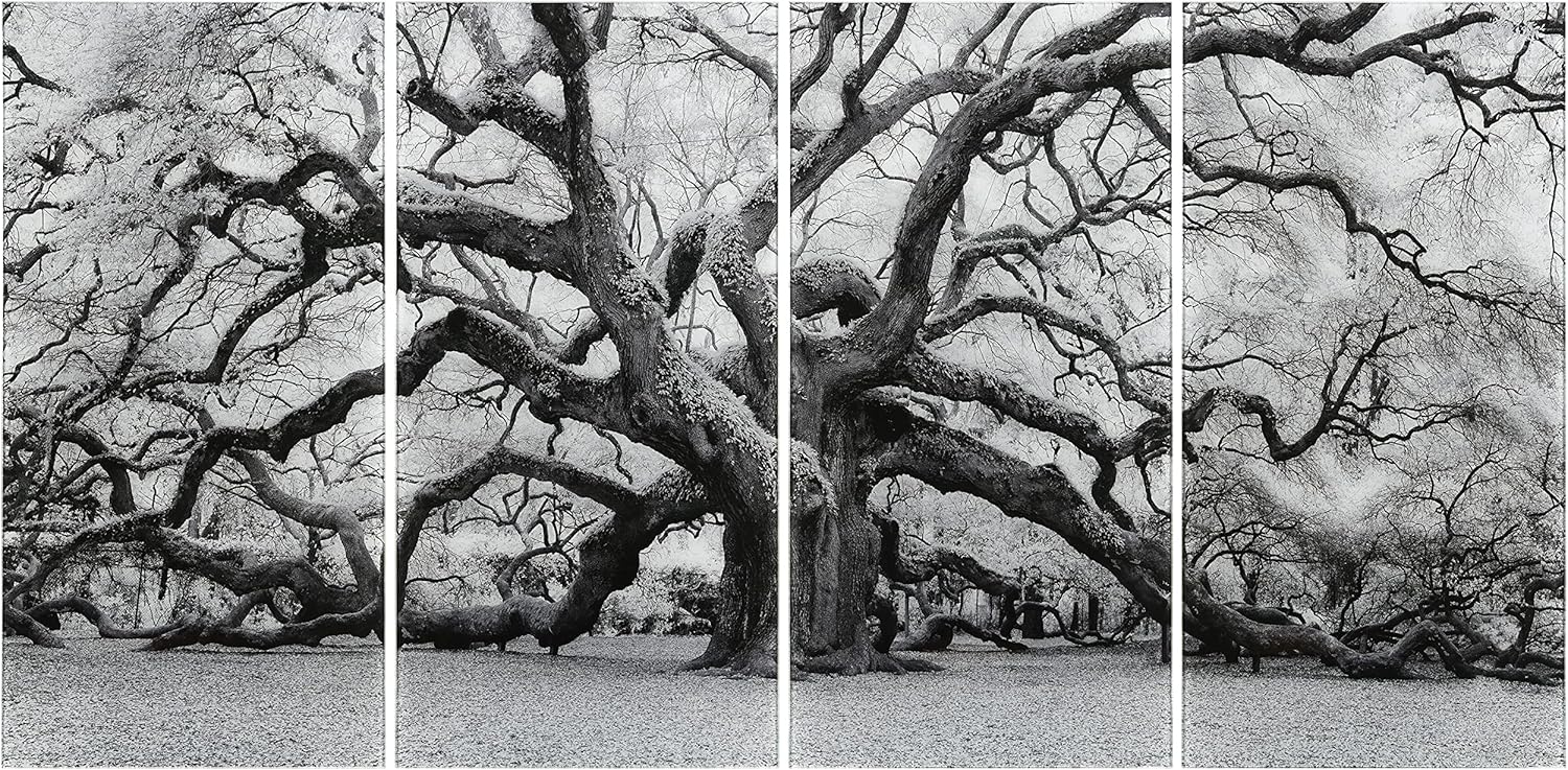 Empire Art Direct Big Tree Art,Frameless Tempered Glass Panel,Contemporary Wall Decor Ready to Hang, Living Room, Bedroom  Office, Black and White