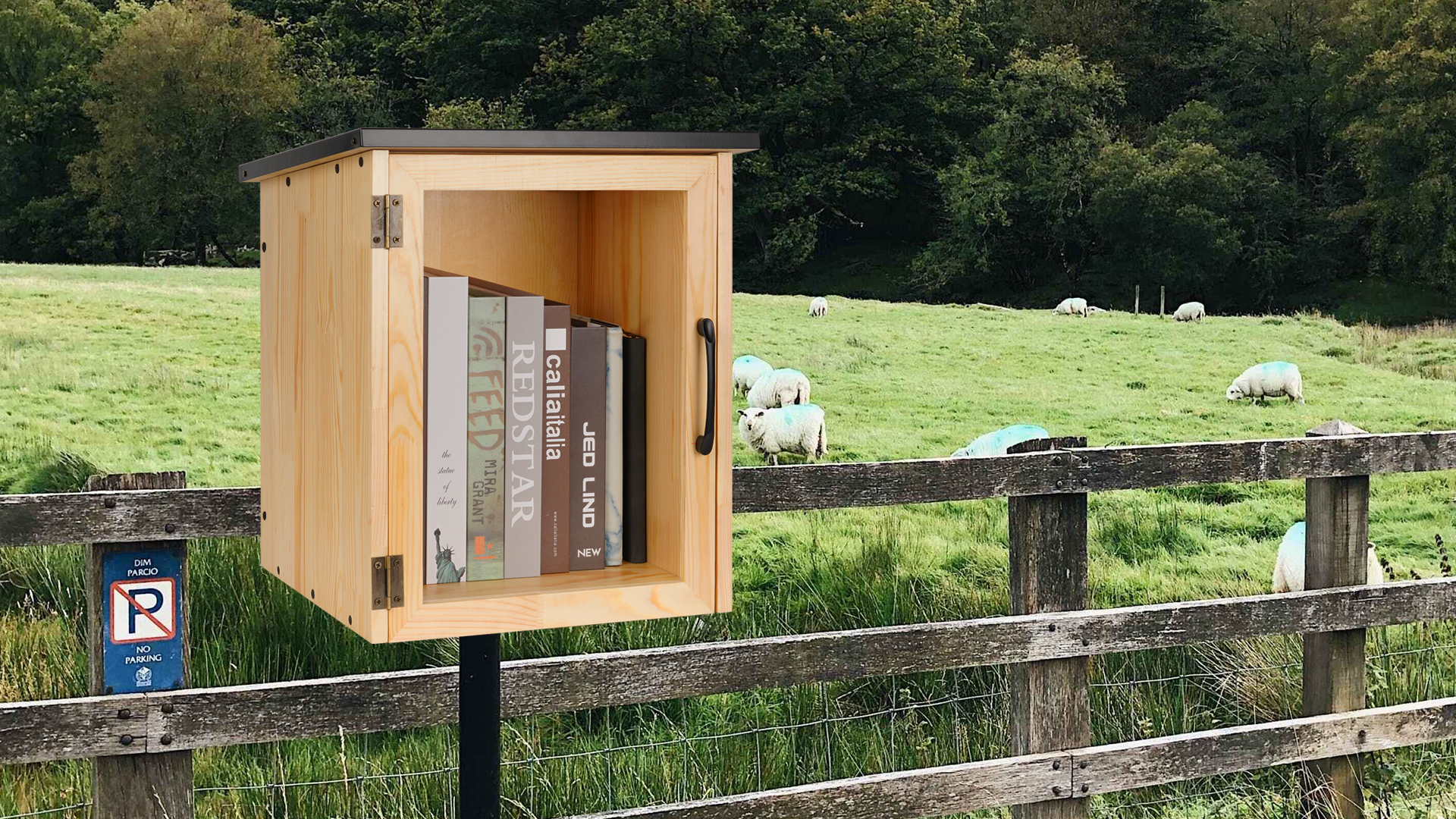 Amazon.com : Exttlliy Outdoor Library Outdoor Book Box Storage