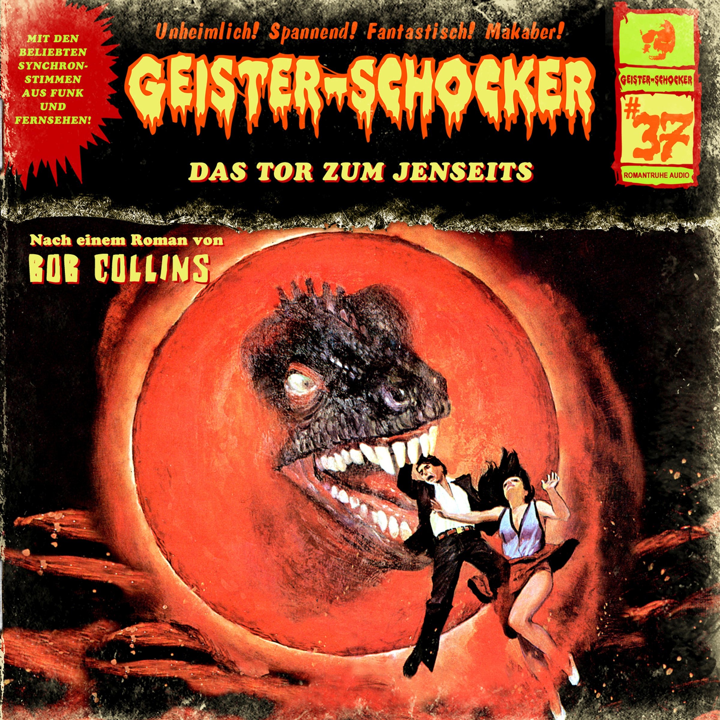 Cover art for Das Tor zum Jenseits
