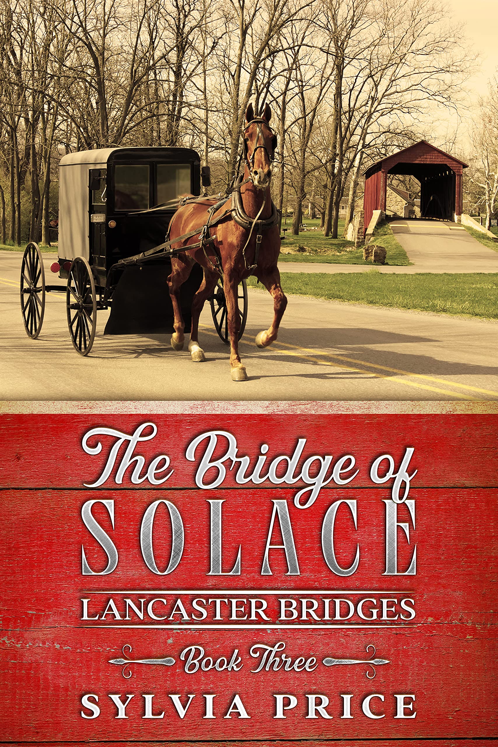 The Bridge of Solace (Lancaster Bridges Book Three): An Amish Romance Series