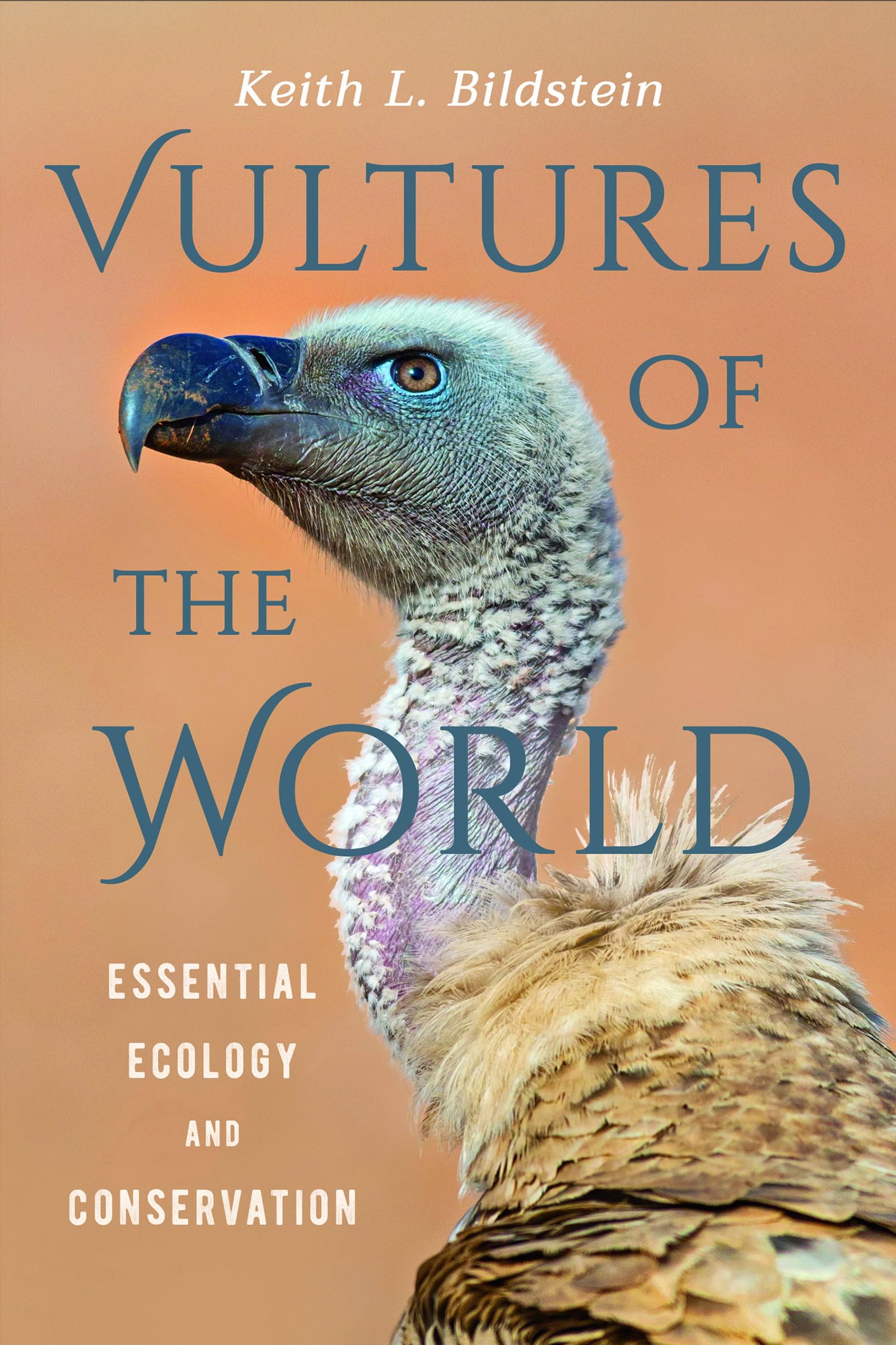 Vultures of the World by Keith L. Bildstein - 9781501761614