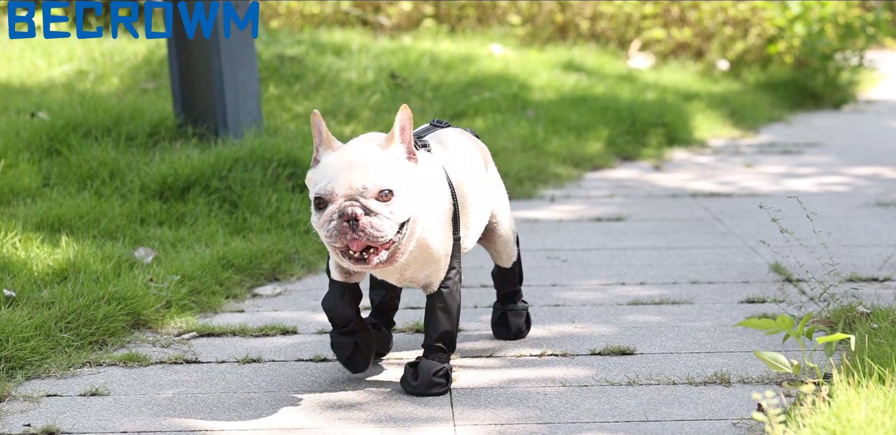 Waterproof Dog Boots for Small/Medium Dogs -Dog Paw Protectors Dog Suspender Boots Anti-Slip Pet Shoes for Outdoor Walking, Reflective Stay-On,Dirt-Proof Comfortable Booties (Black, Small) - image 7