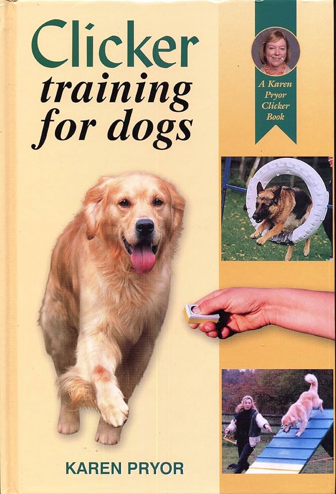 Clicker Training for Dogs: Step-by-Step Beginner Guide to Positive Reinforcement
