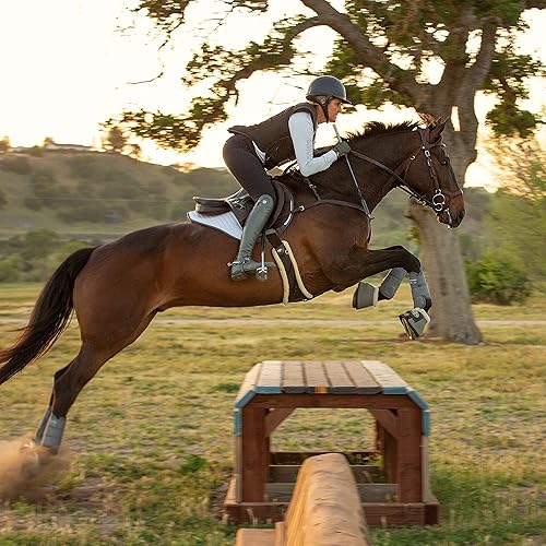 Miniatura 10 de Professional's Choice Pro Performance Elite XC Botas  Par Delantero  Mediano