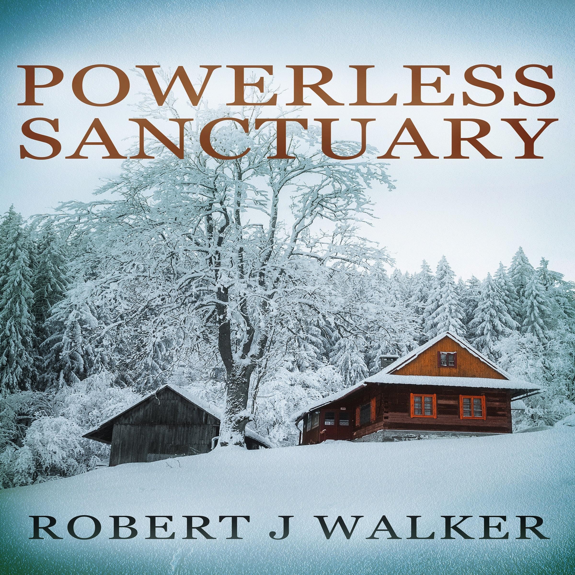 Cover art for Powerless Sanctuary