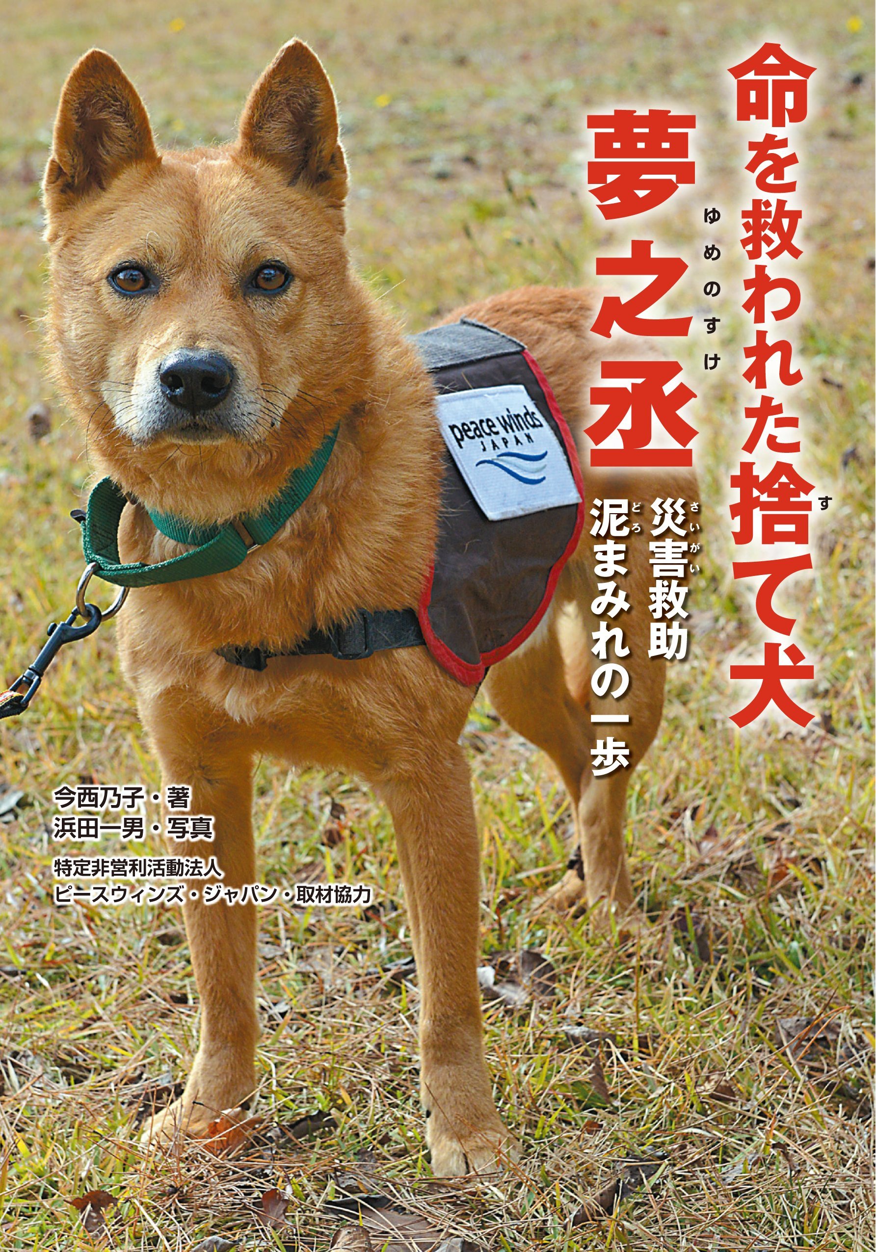 命を救われた捨て犬 夢之丞 災害救助 泥まみれの一歩 (ノン