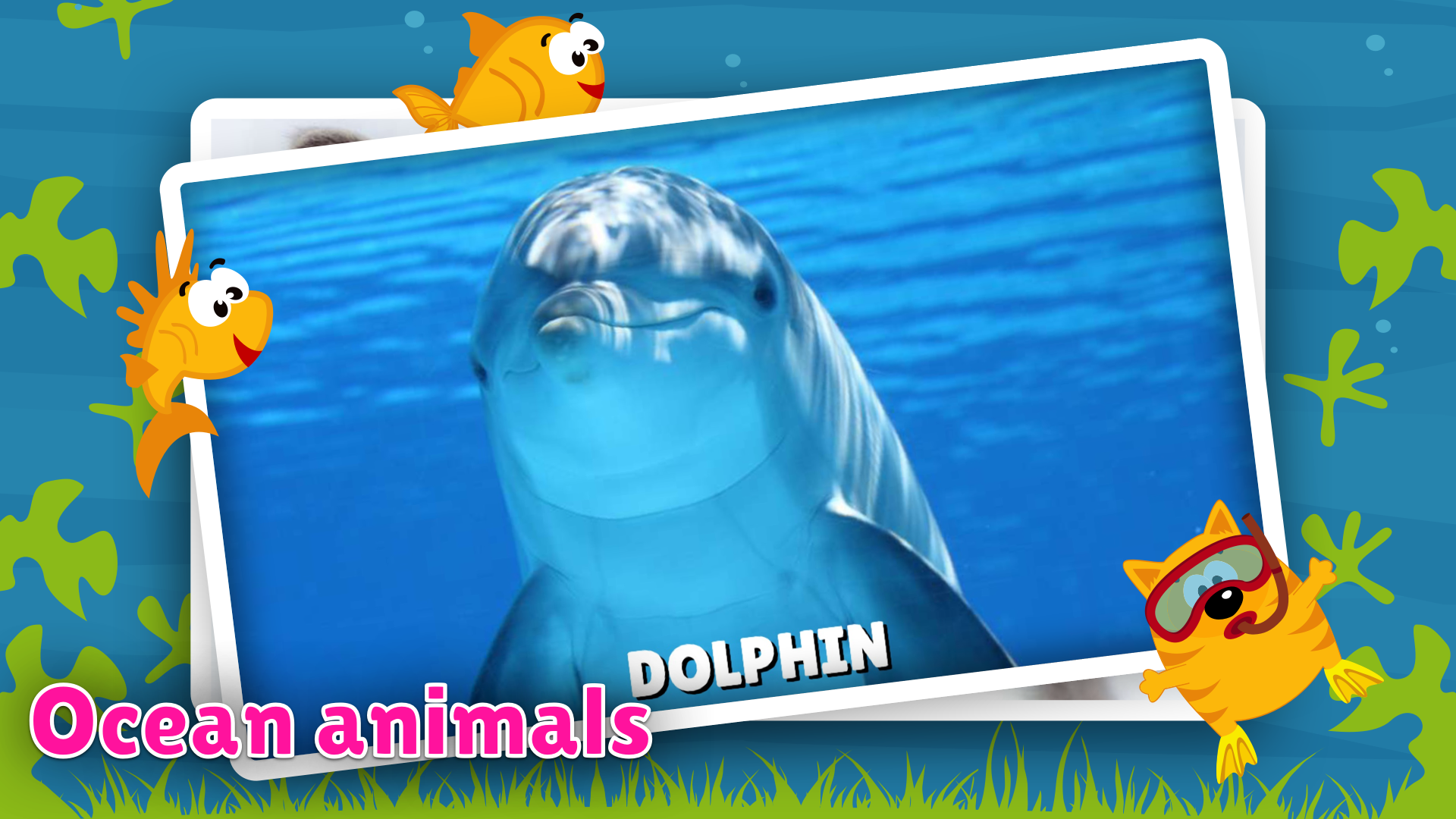 Animal Flashcards and Sounds Fun and educational game for kids