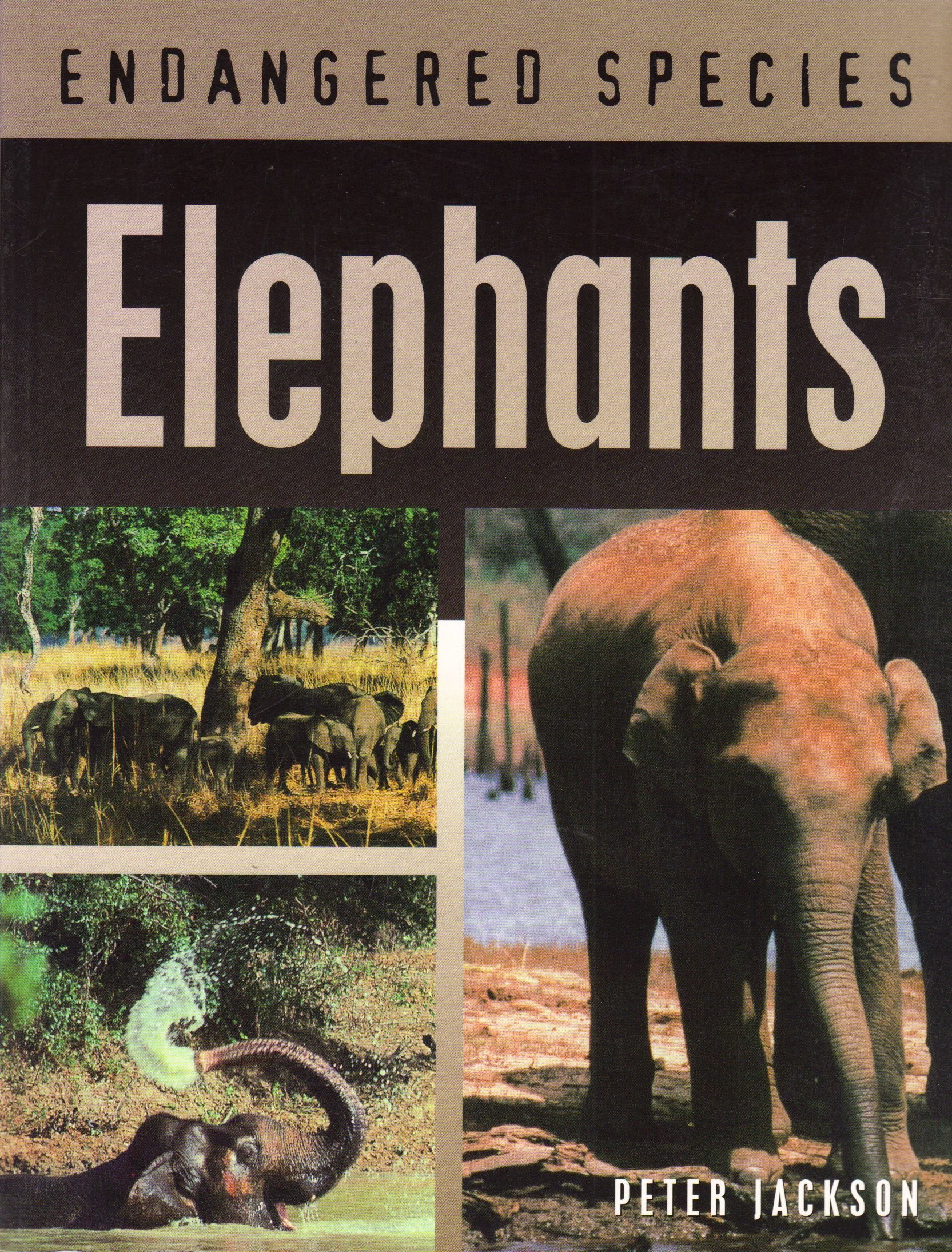 Elephants : Endangered Species Paperback – 1 January 2003
